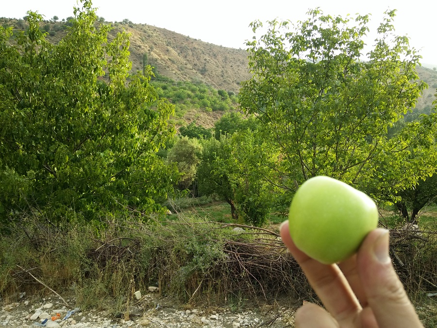 20150725_191534.jpg