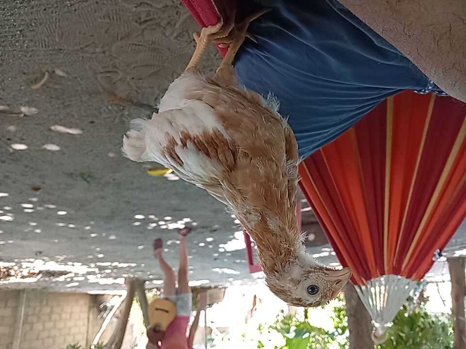 1000851111.jpg