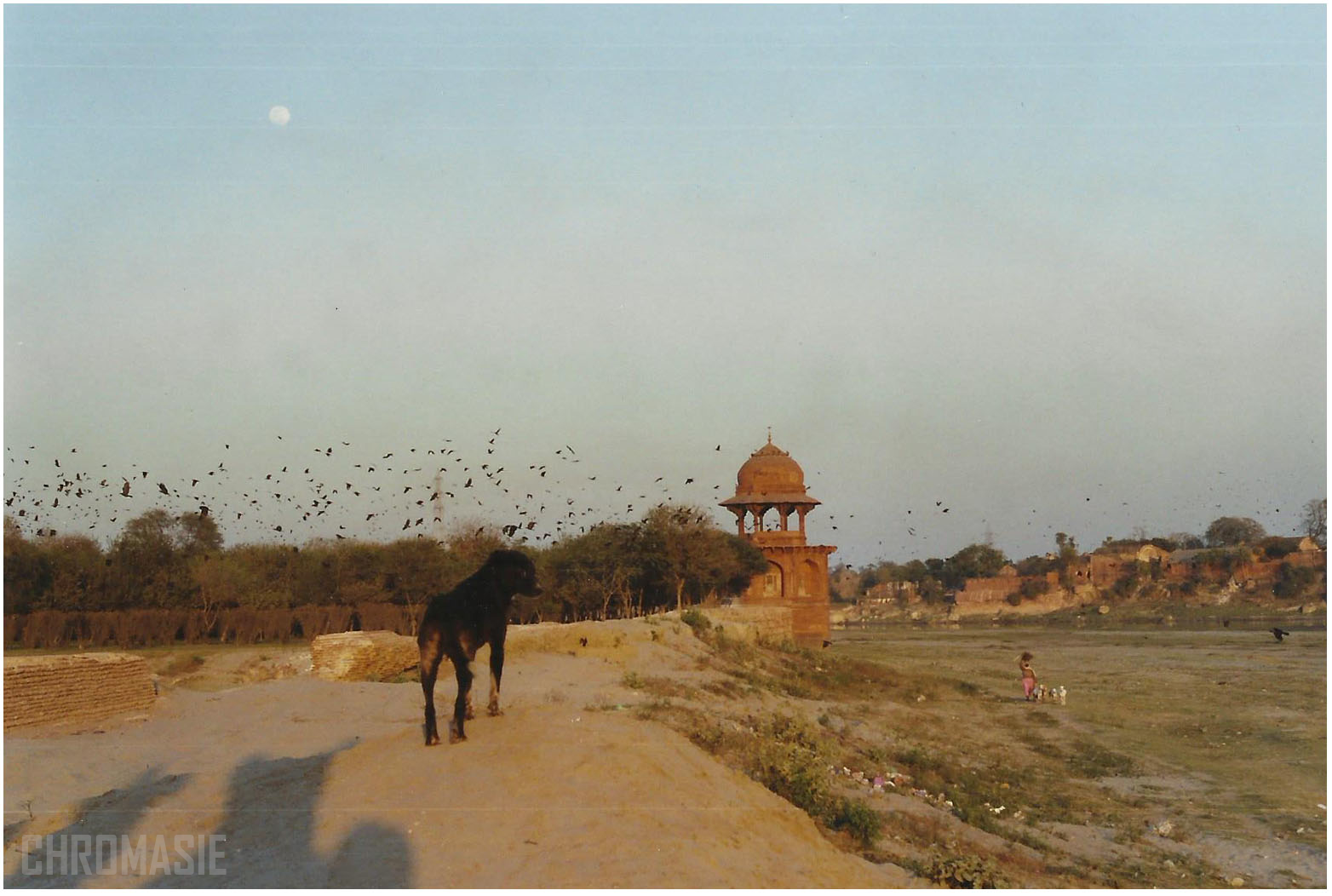 India16.png