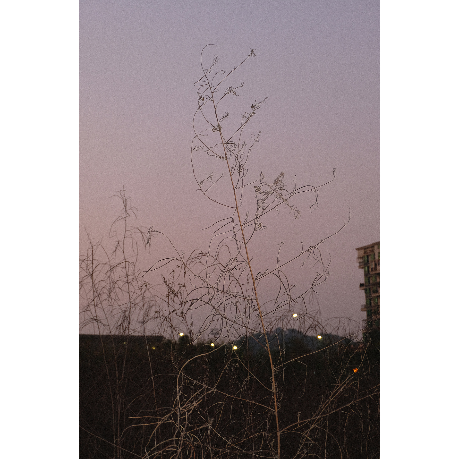 未标题-1.jpg