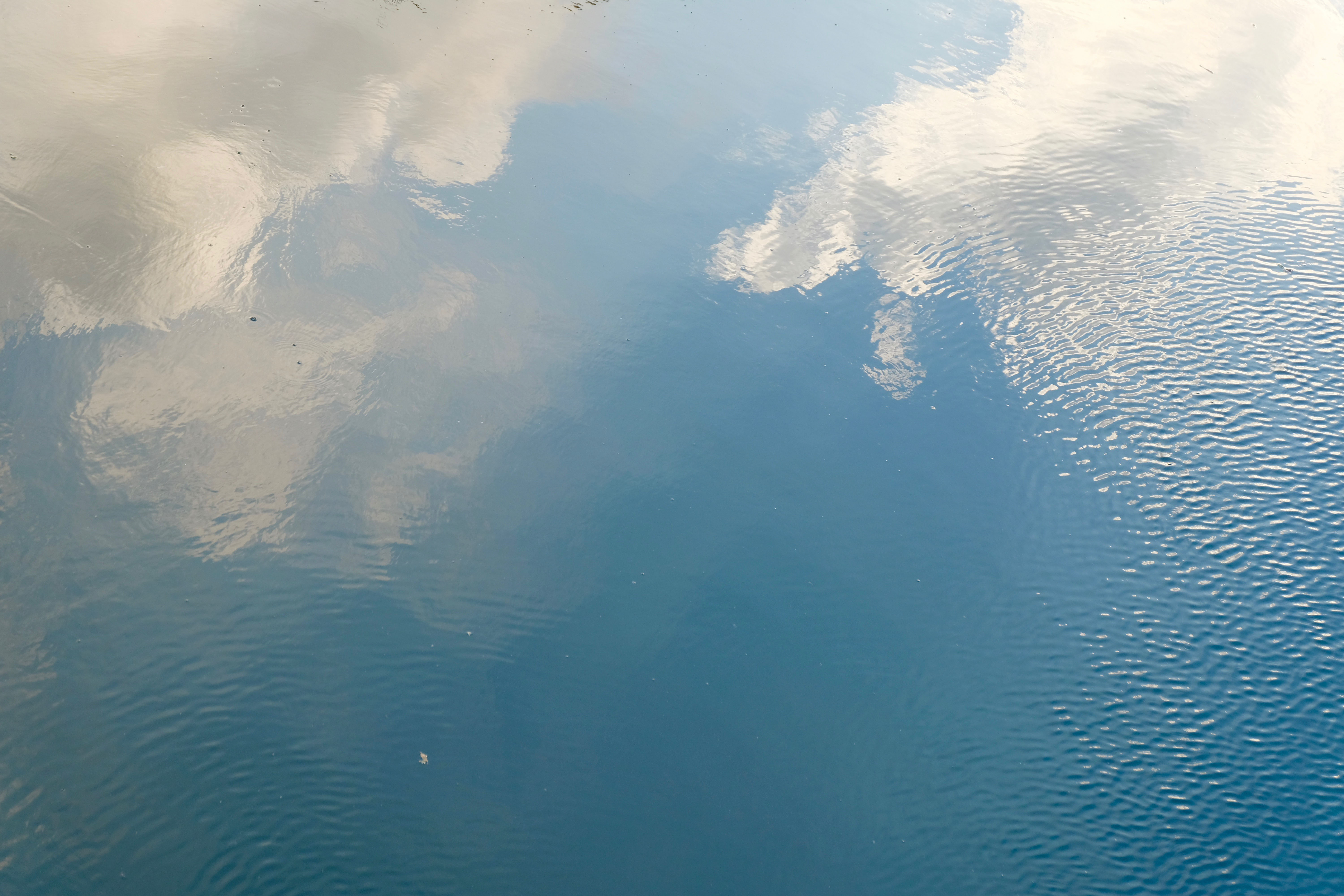 DSCF9949.jpg