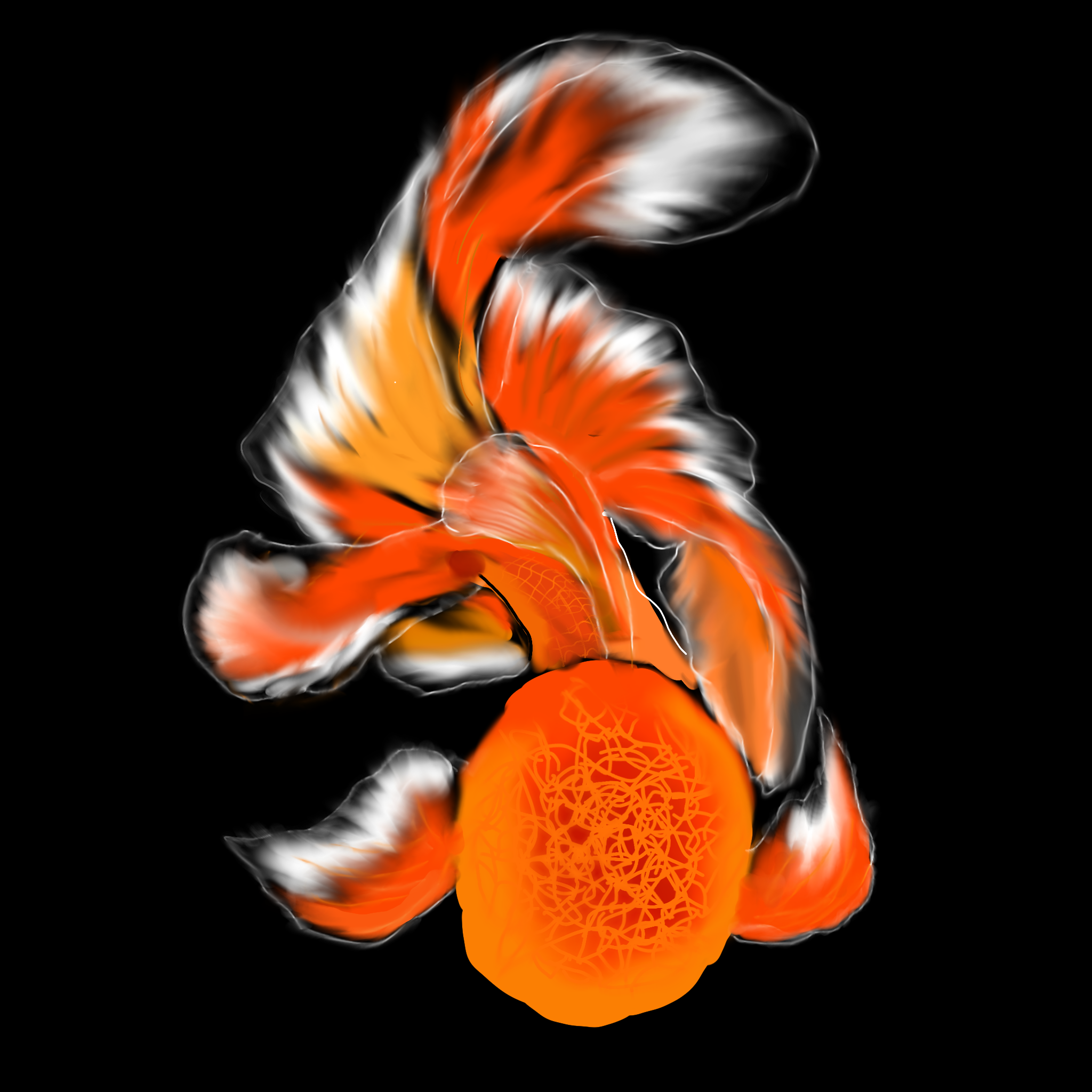 1000915274.png
