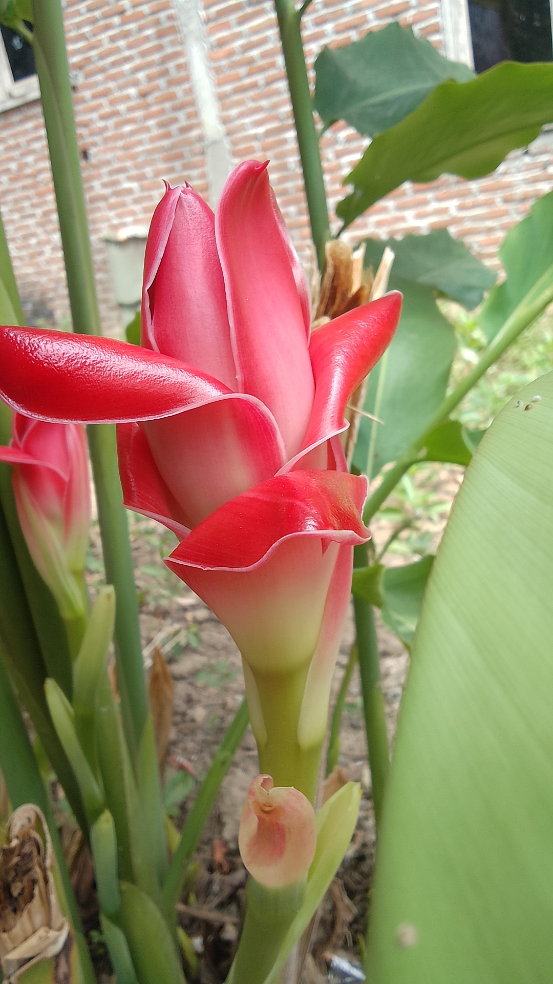 IMG_20240414_113358_HDR.jpg