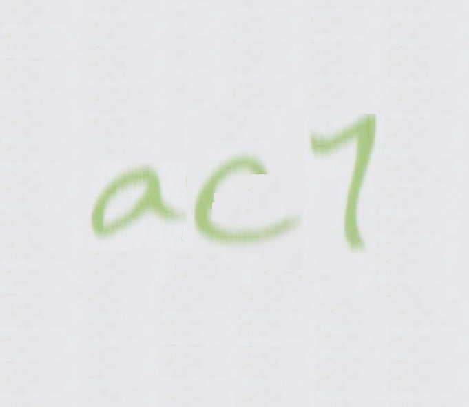 aclcrypto2