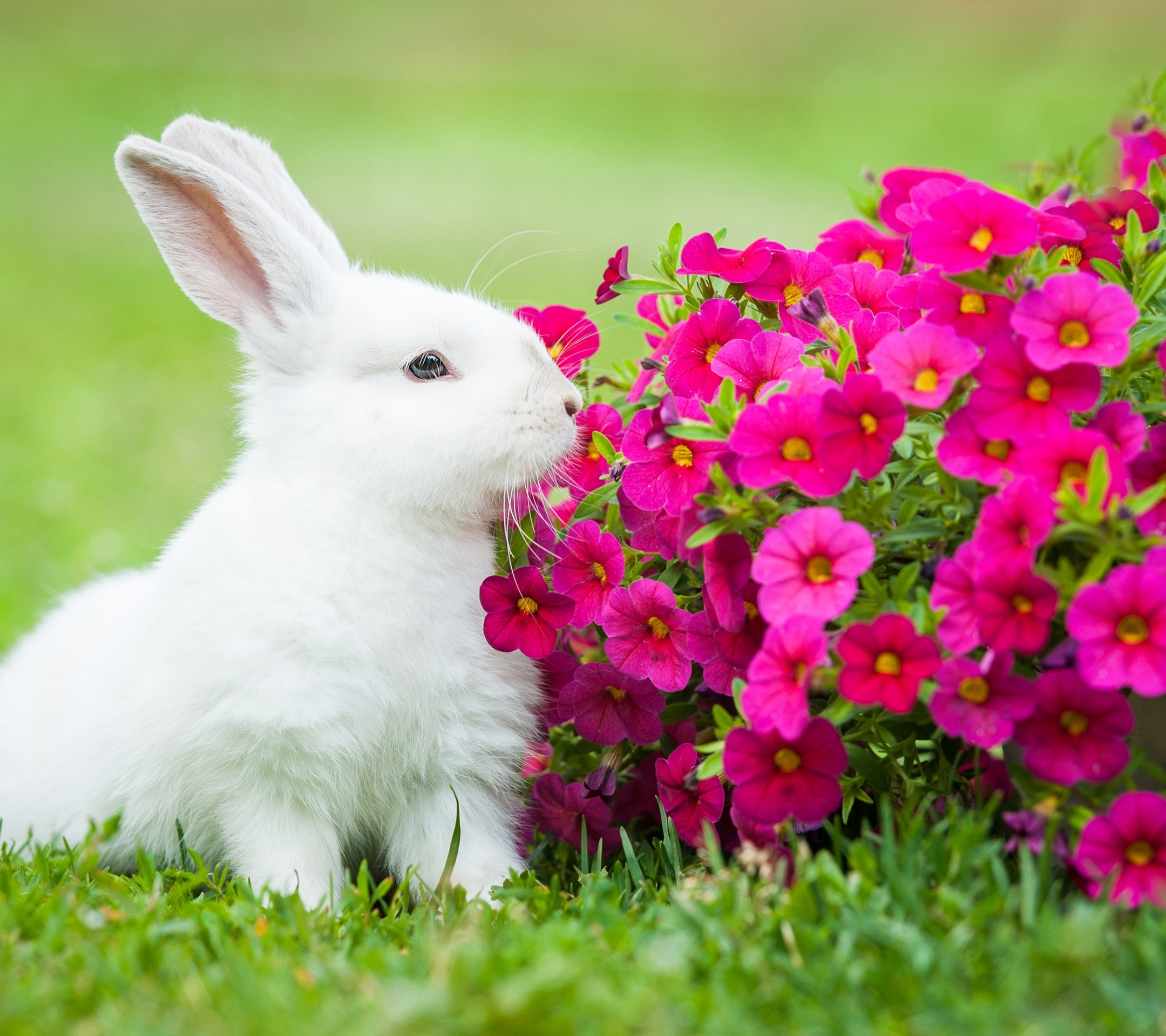 240643_wallpaper.jpg
