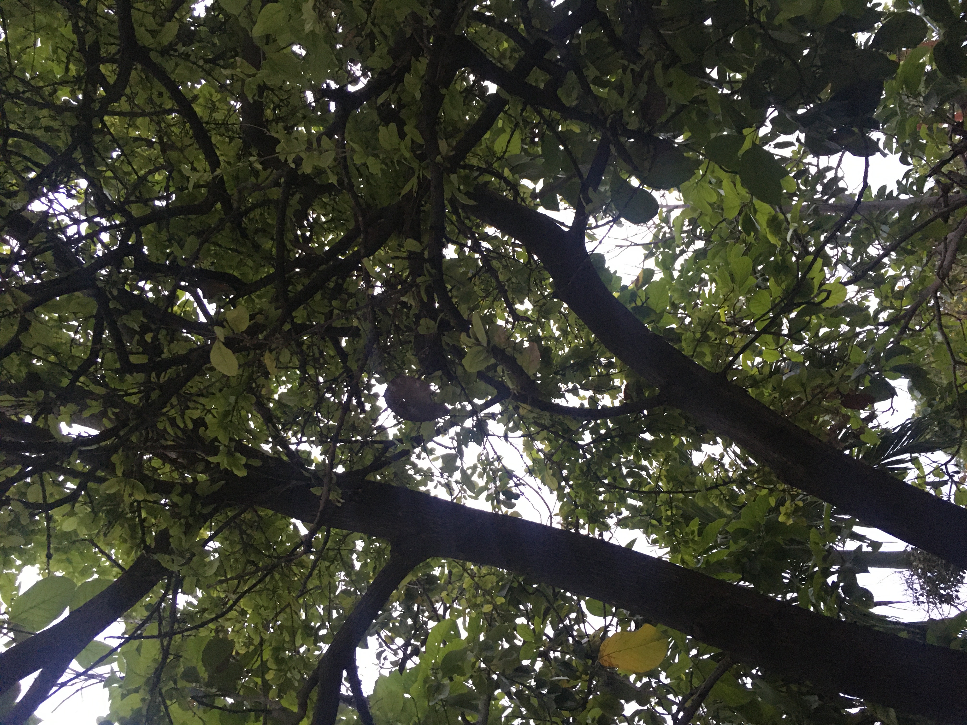 BA40A0D5-337D-478D-B46C-080A431D3B3B.jpeg