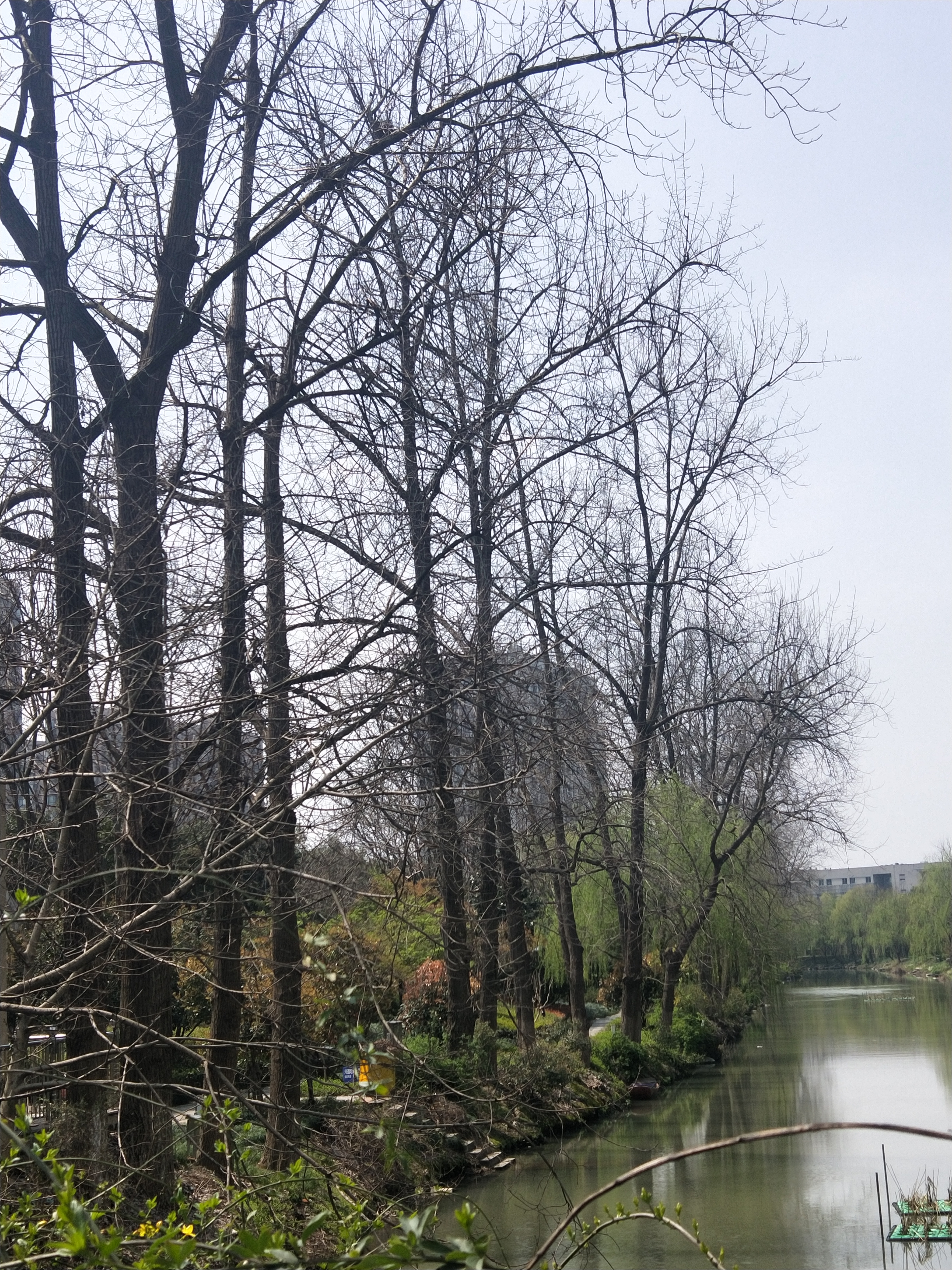 IMG20190323114443.jpg