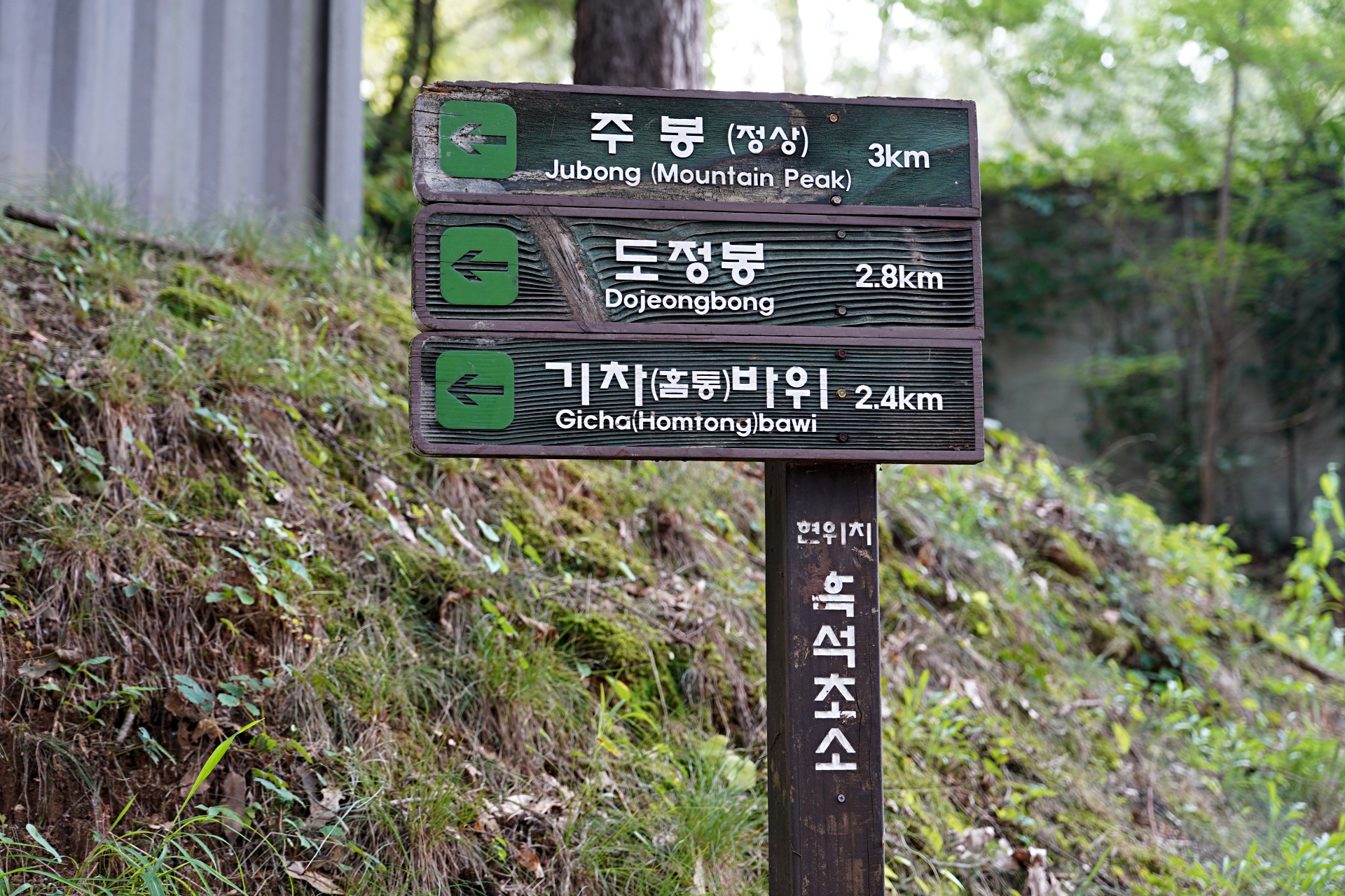b-DSC09889.JPG