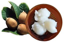 babassu oil.jpg