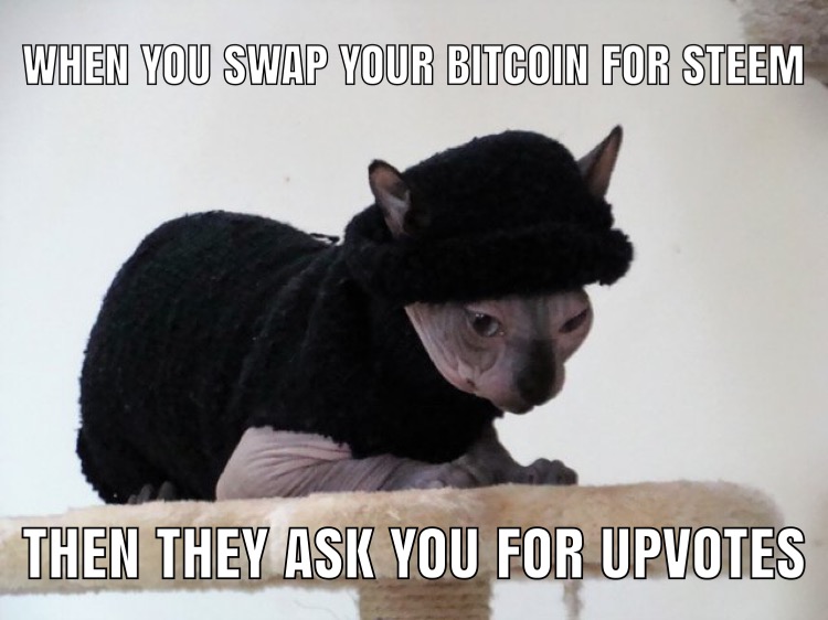 CA0CC01A-A9B0-4A67-8680-317A6208CB29.jpeg