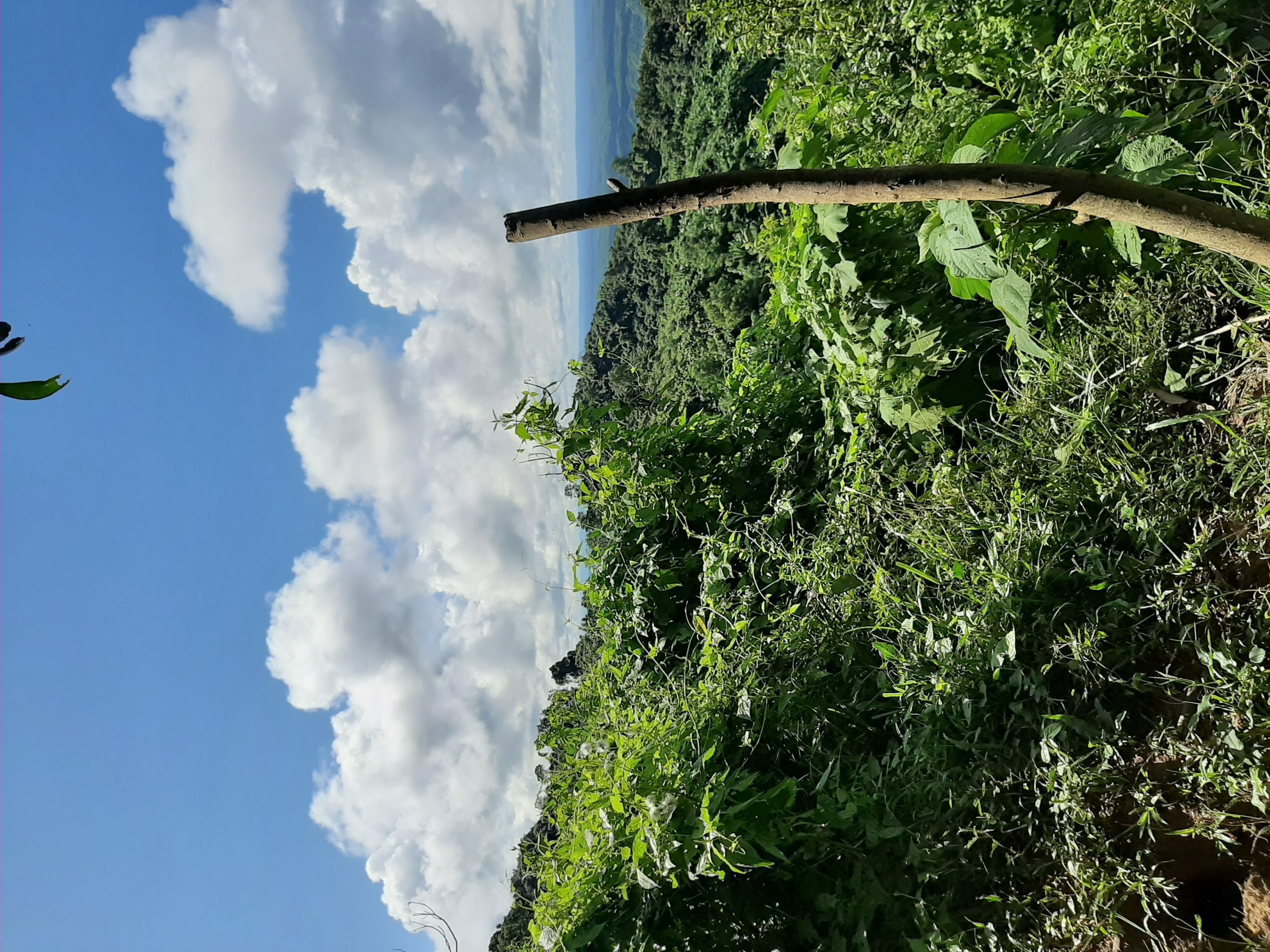 20191012_095007.jpg