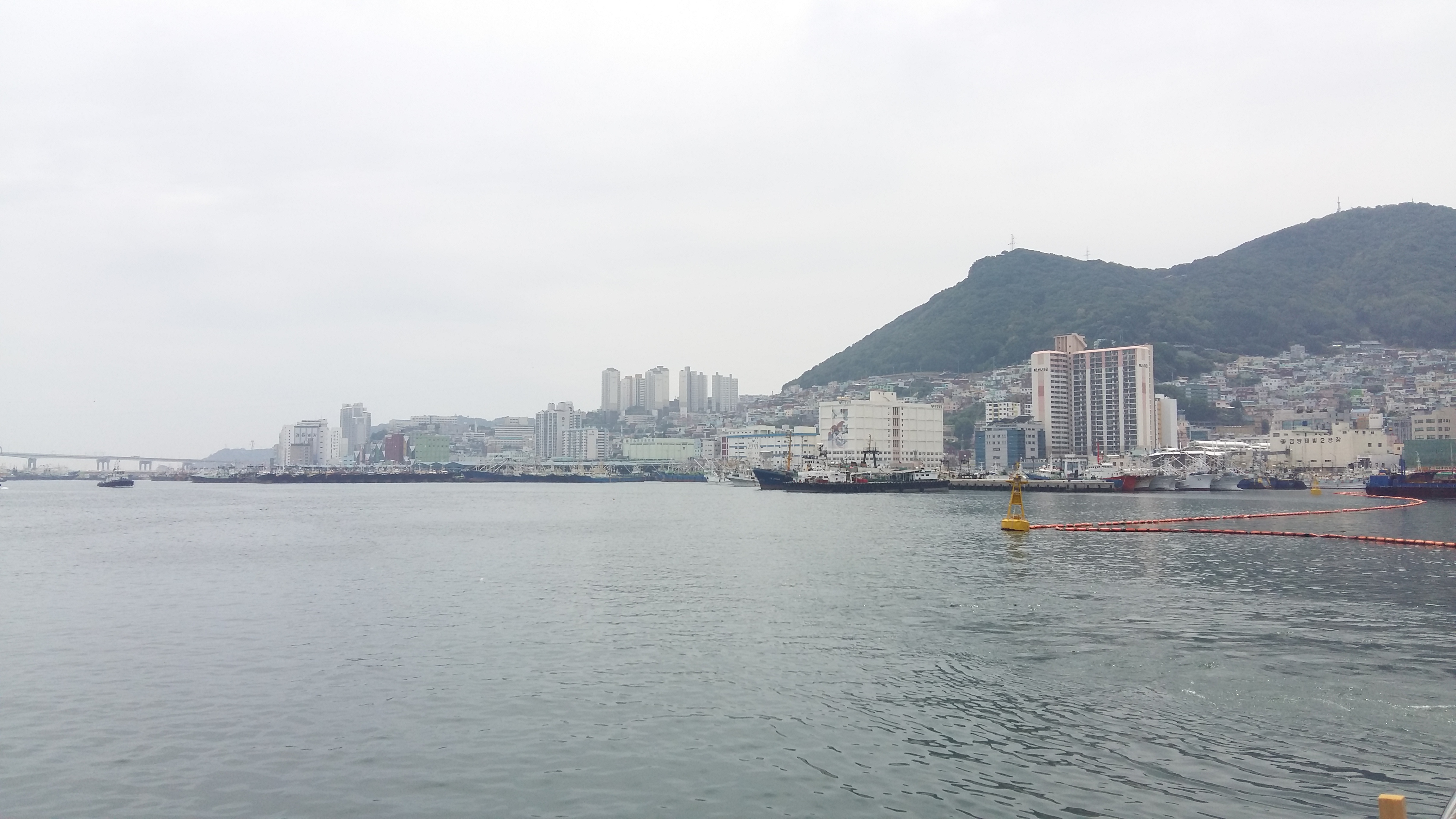 20180527_130743.jpg