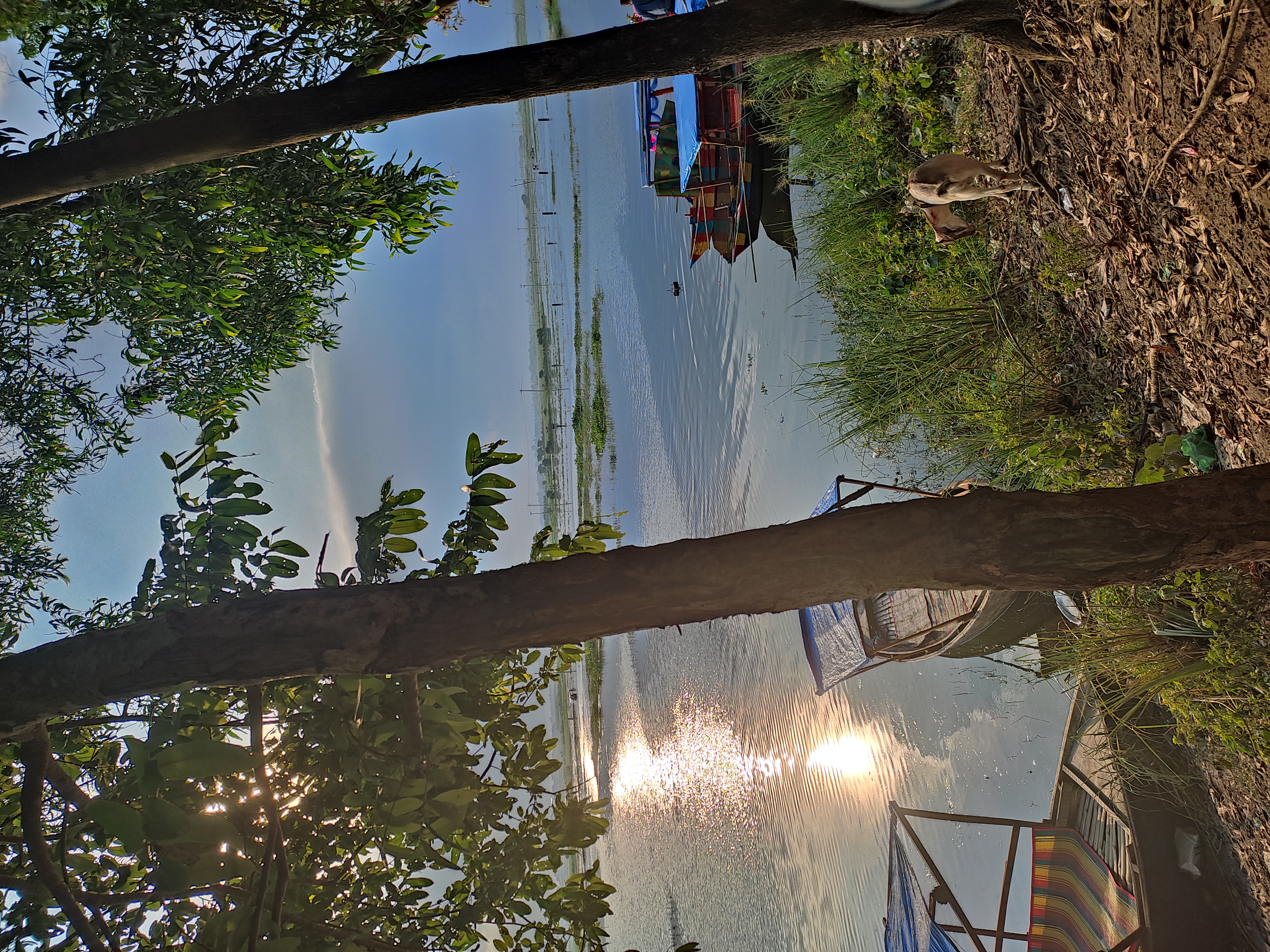 IMG_20230731_172352.jpg