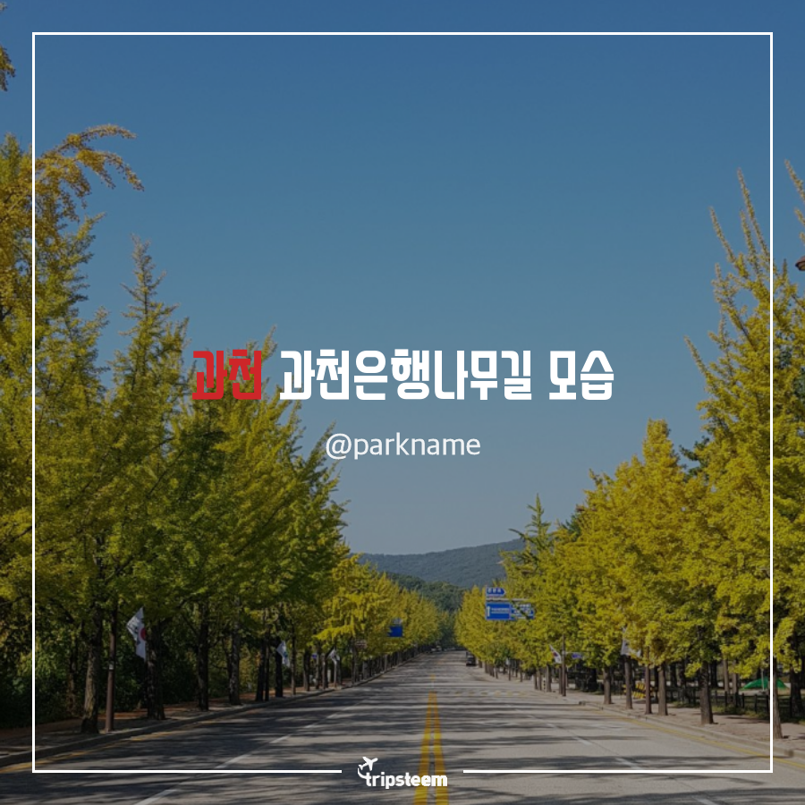 tyle-mlf-7-1541338215.png