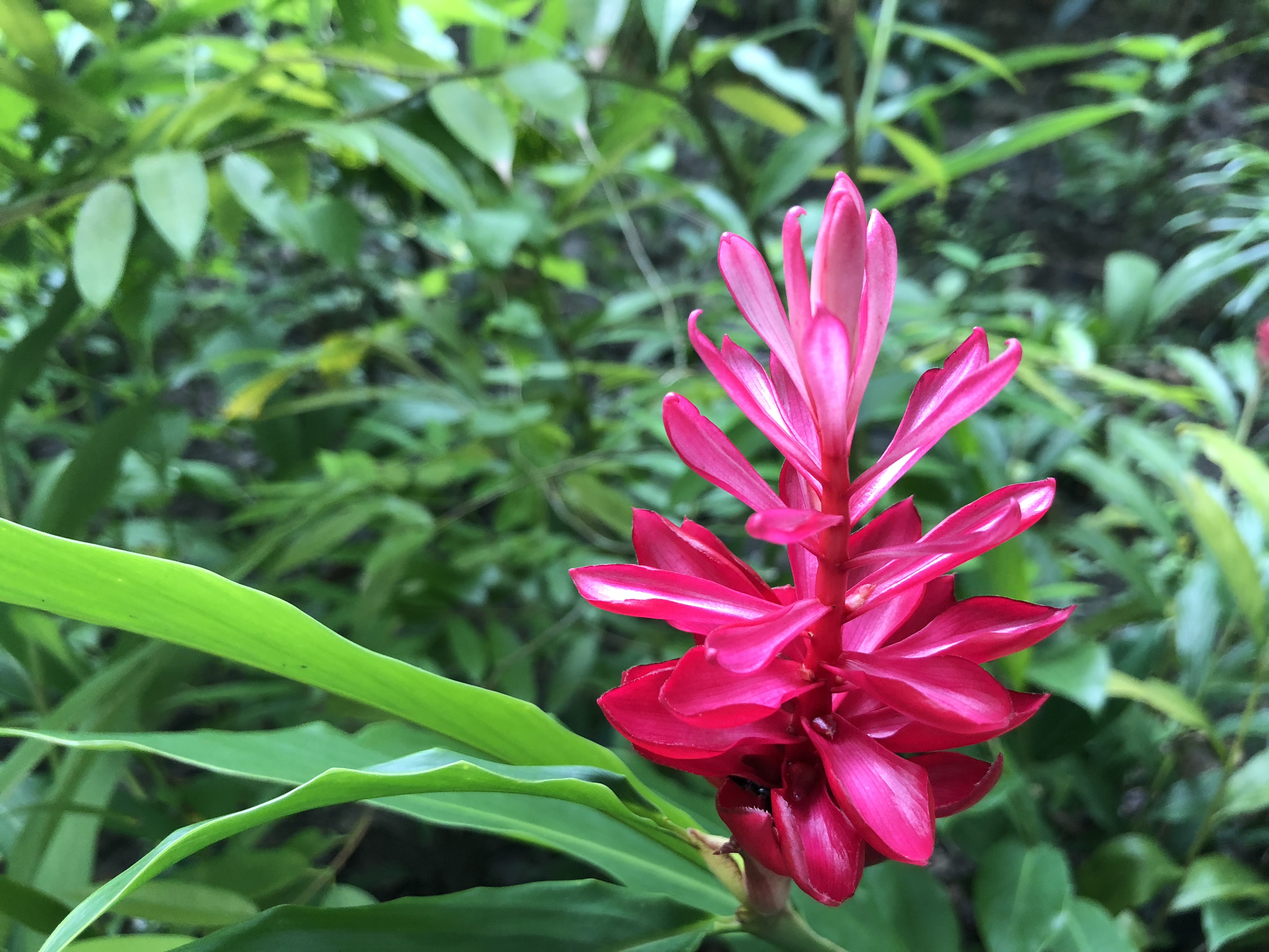 3D778F0B-E160-47E9-8D44-A745C075909B.jpeg