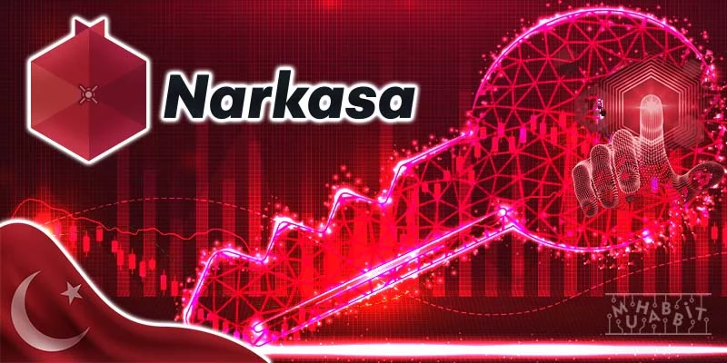 narkasa-siber-guvenlik.jpg.webp