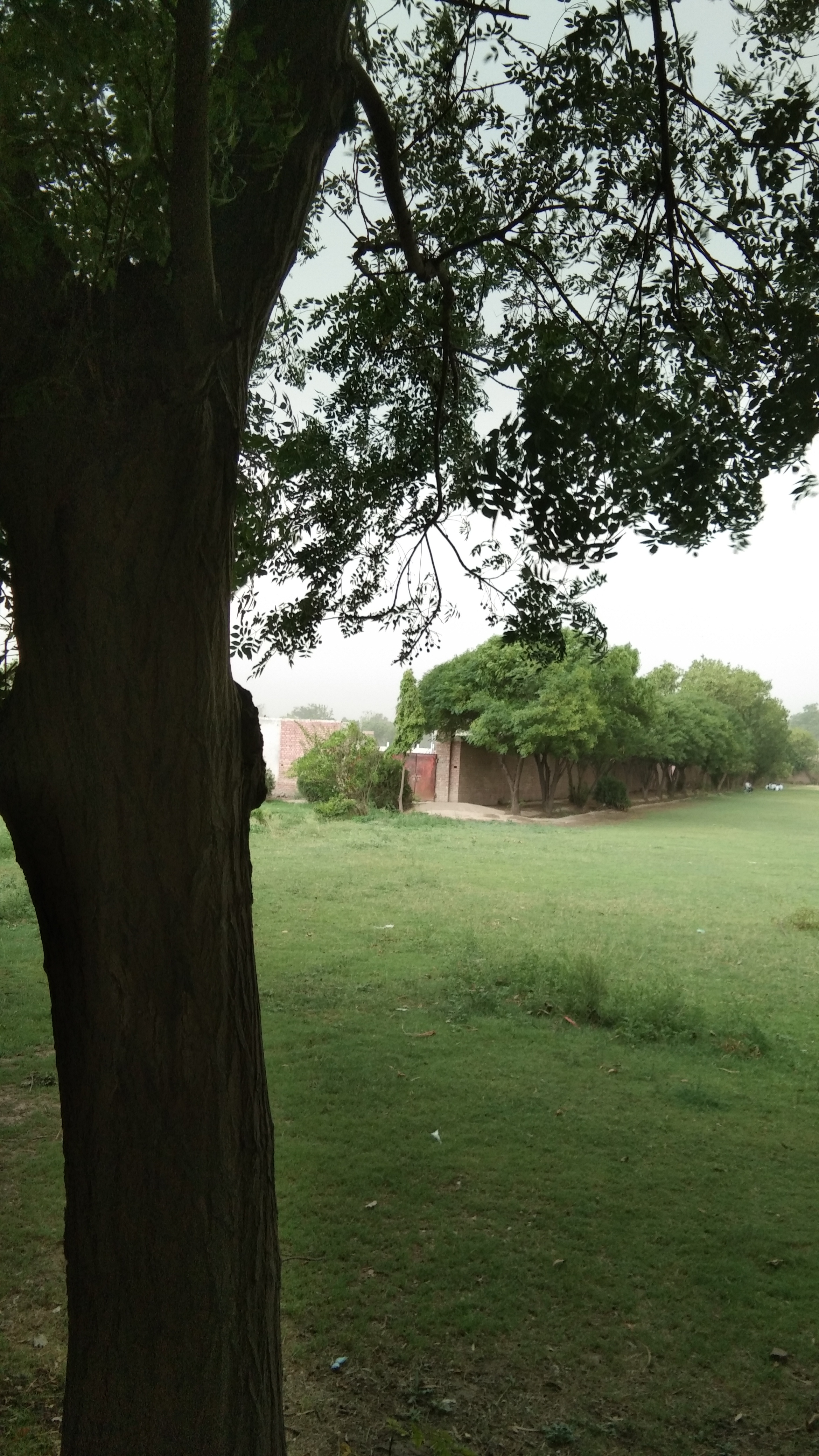 IMG_20210615_091137.jpg
