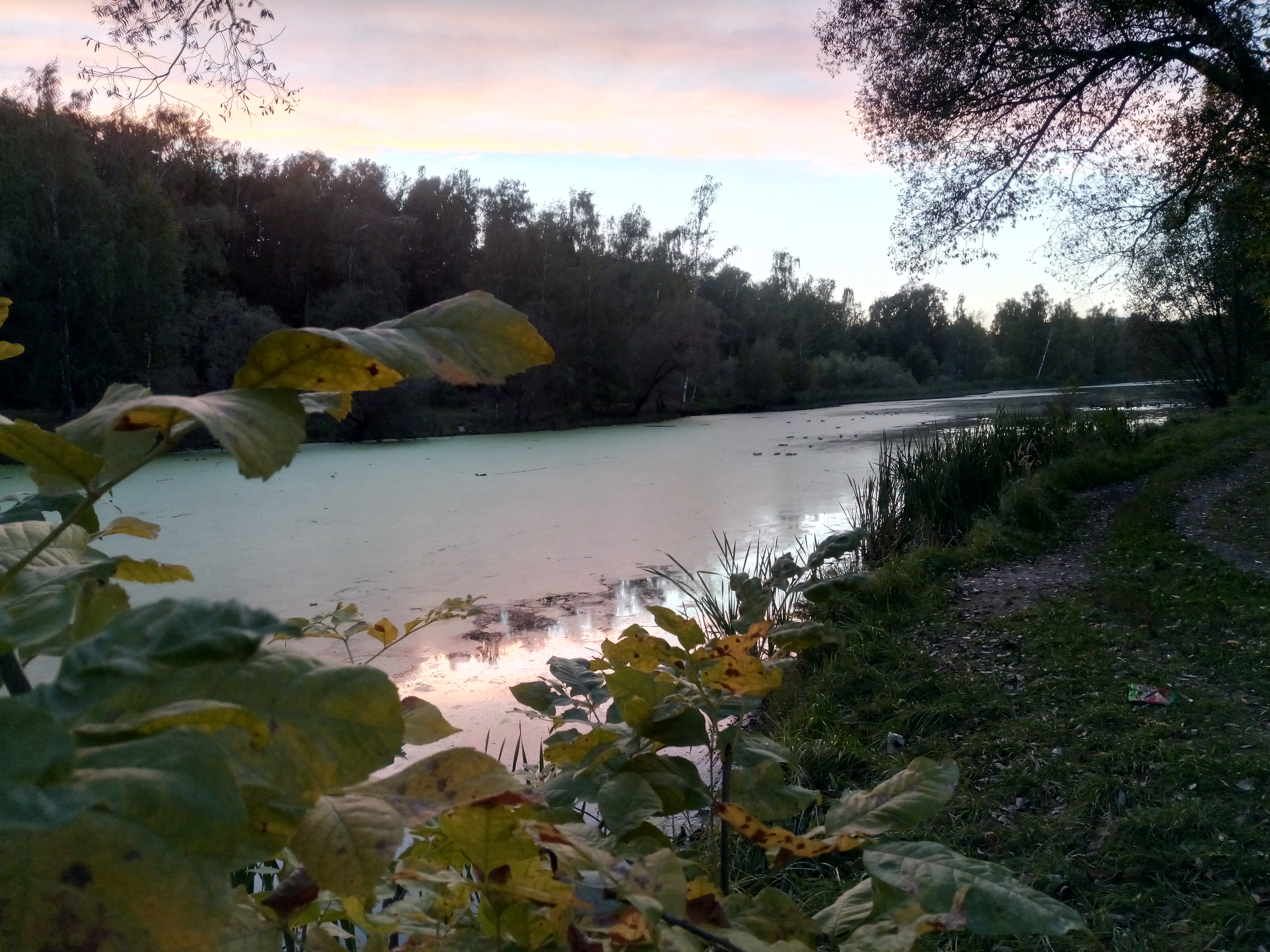 2018-09-23 18-32-46.JPG