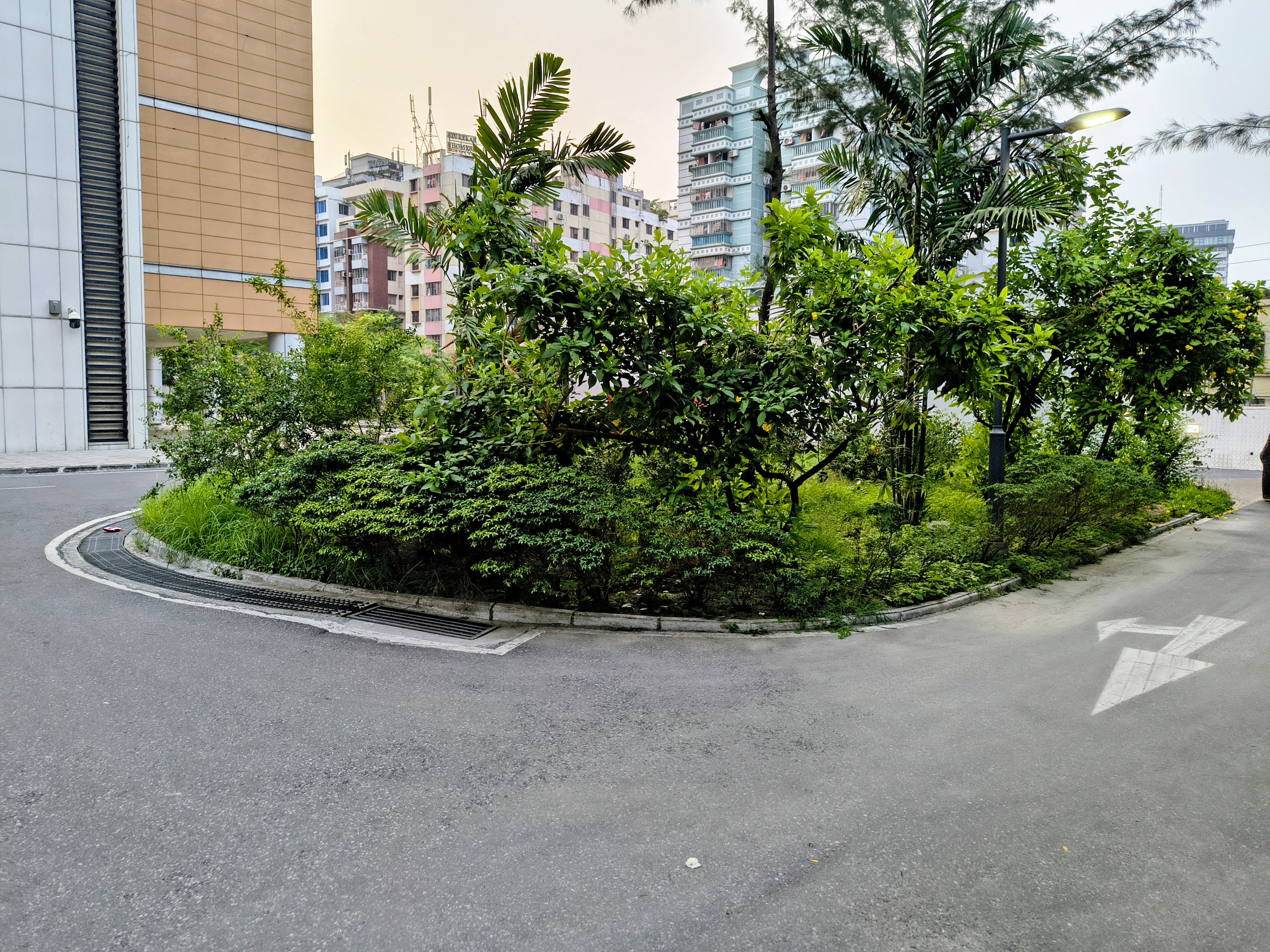 1000311821.jpg
