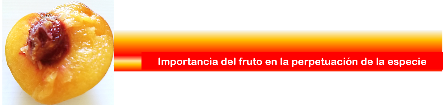 importancia.png