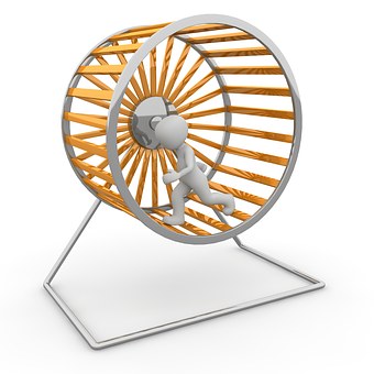 hamster-wheel-1014047__340.jpg