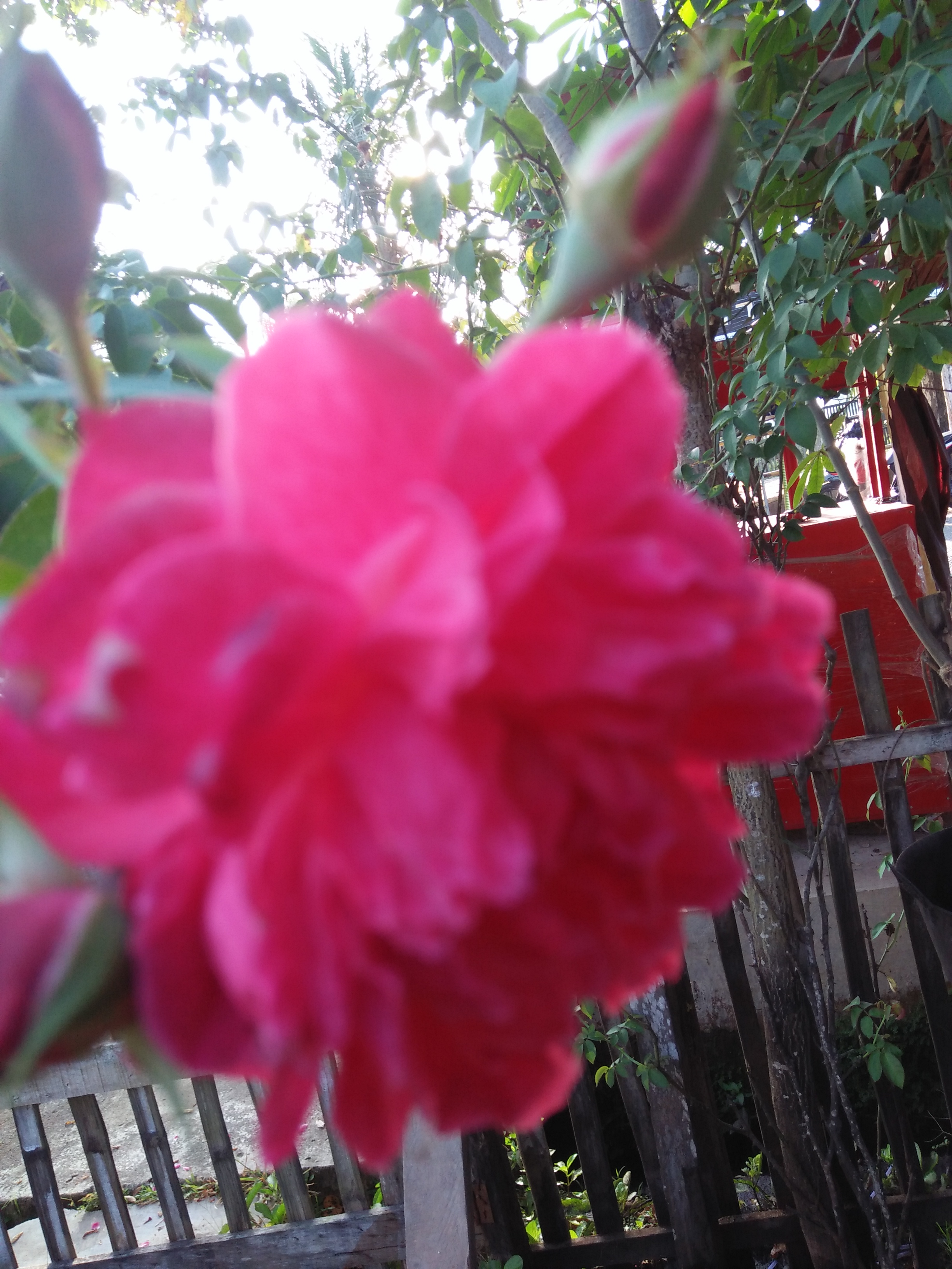 IMG20210622073530.jpg