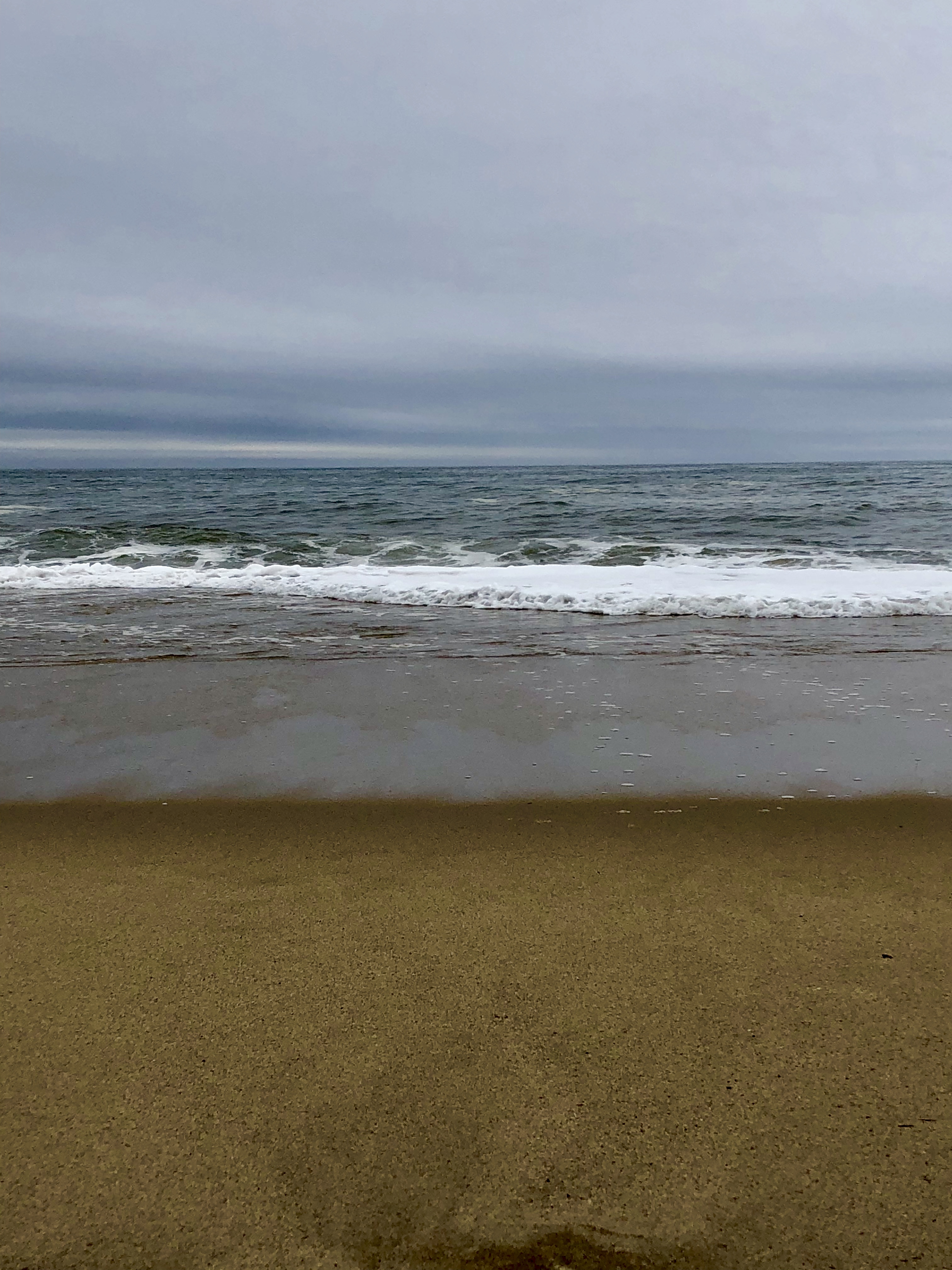BA0AFB52-3000-4C49-978C-0302C4F31298.jpeg