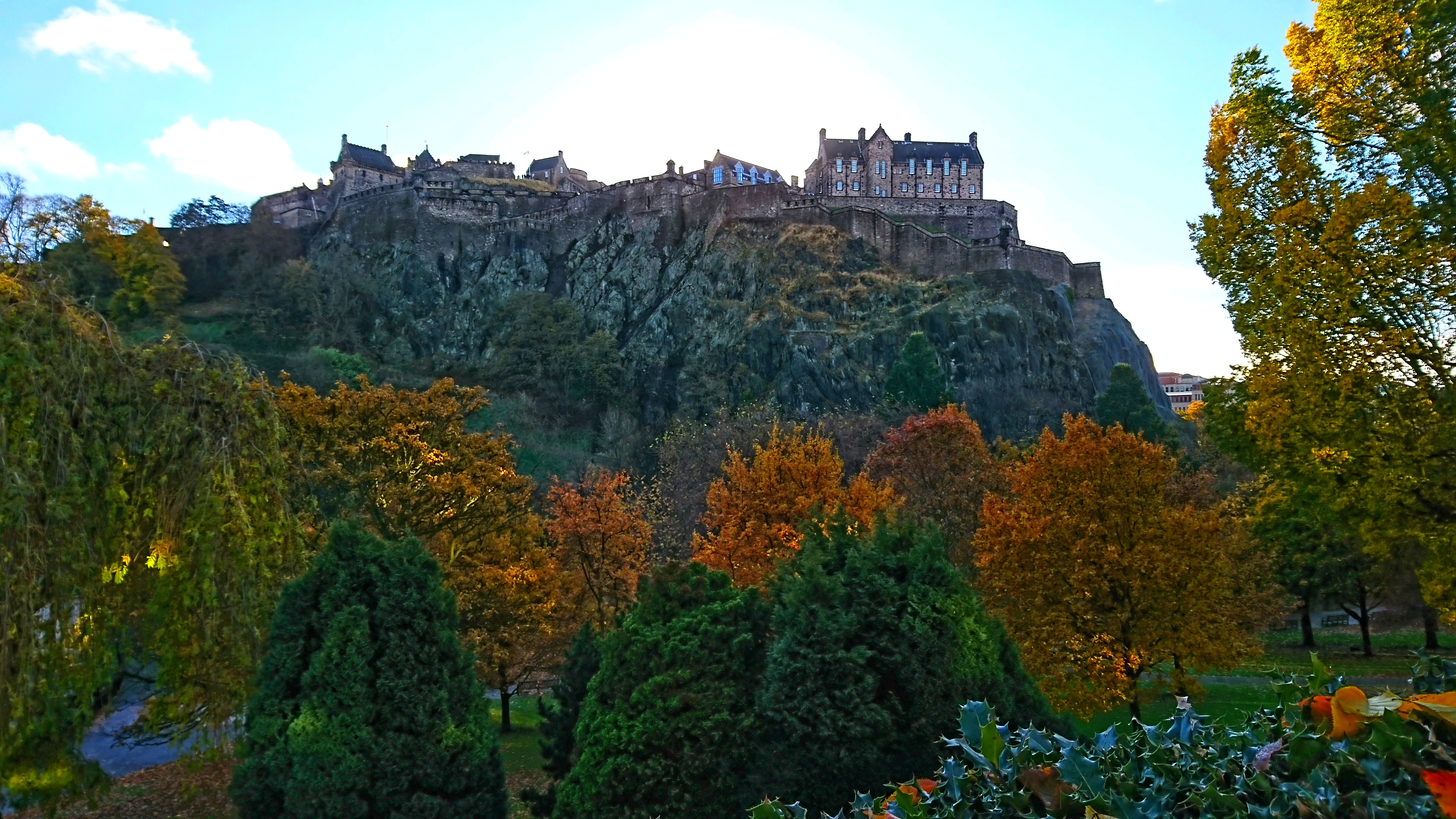 DSC_0080-01.jpeg