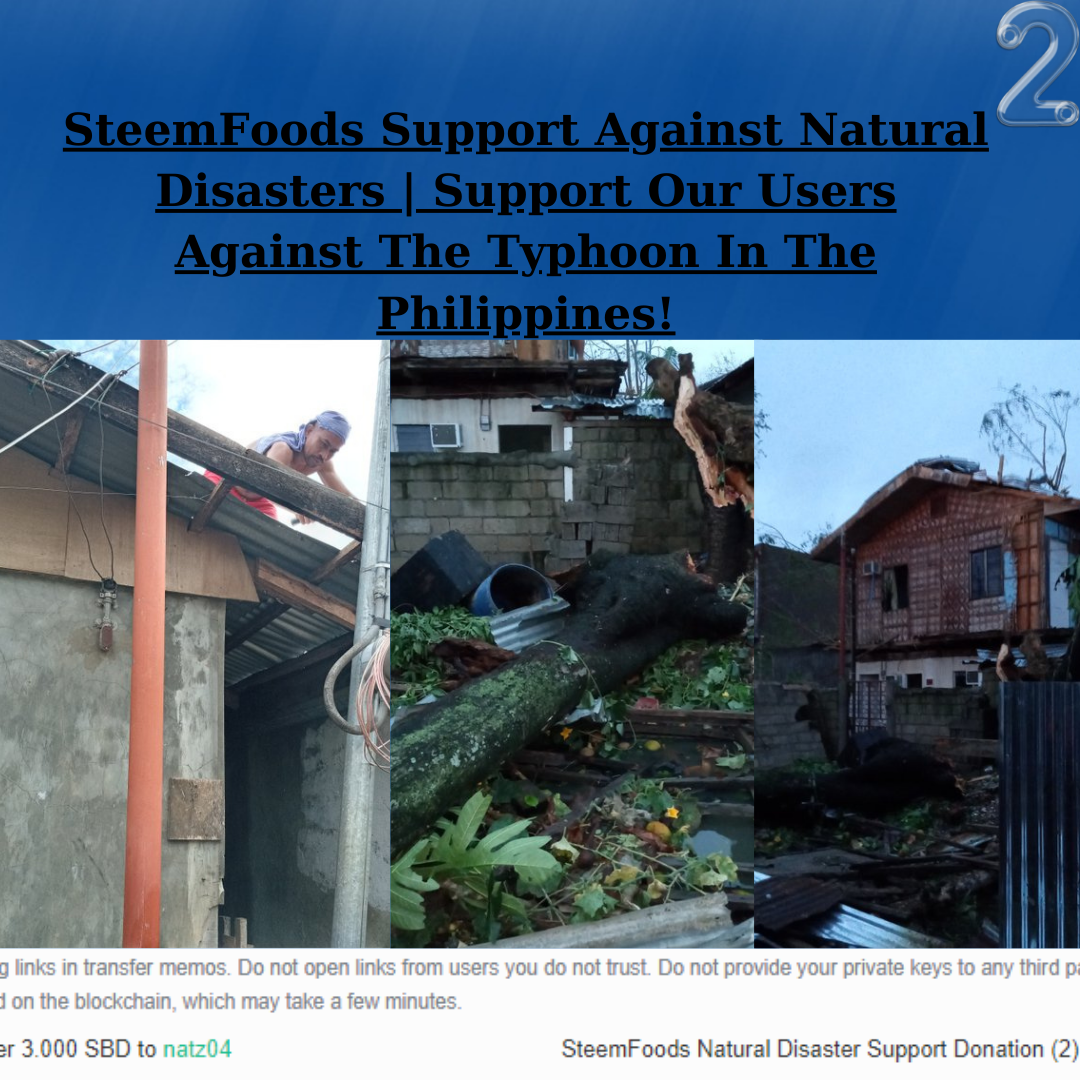 SteemFoods Support Against Natural Disasters Support Our Users Against The Typhoon In The Philippines! (2).png
