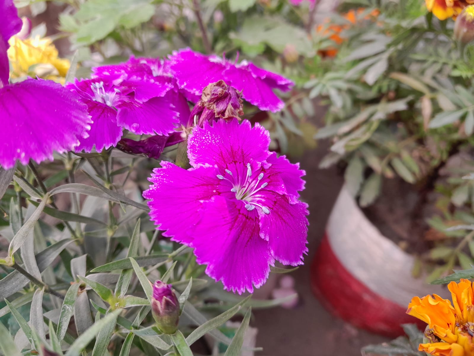 WhatsApp Image 2024-07-03 at 3.03.26 PM (1).jpeg