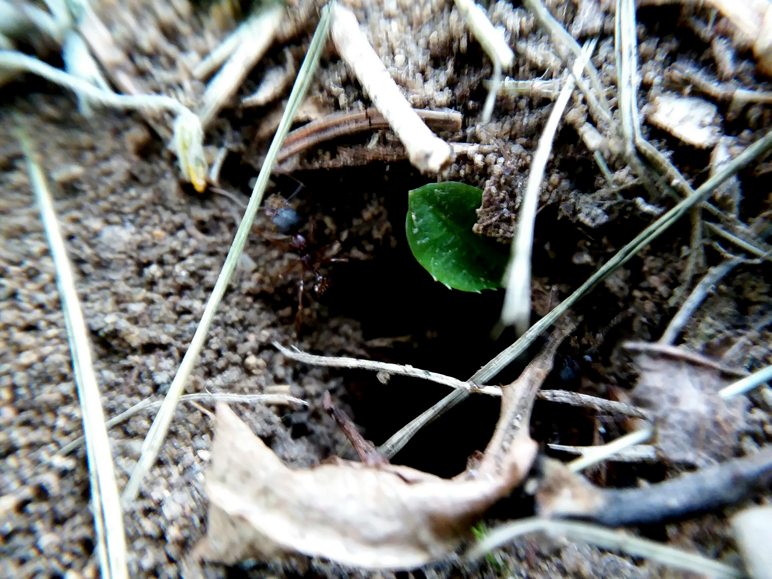 20190625_200316.jpg
