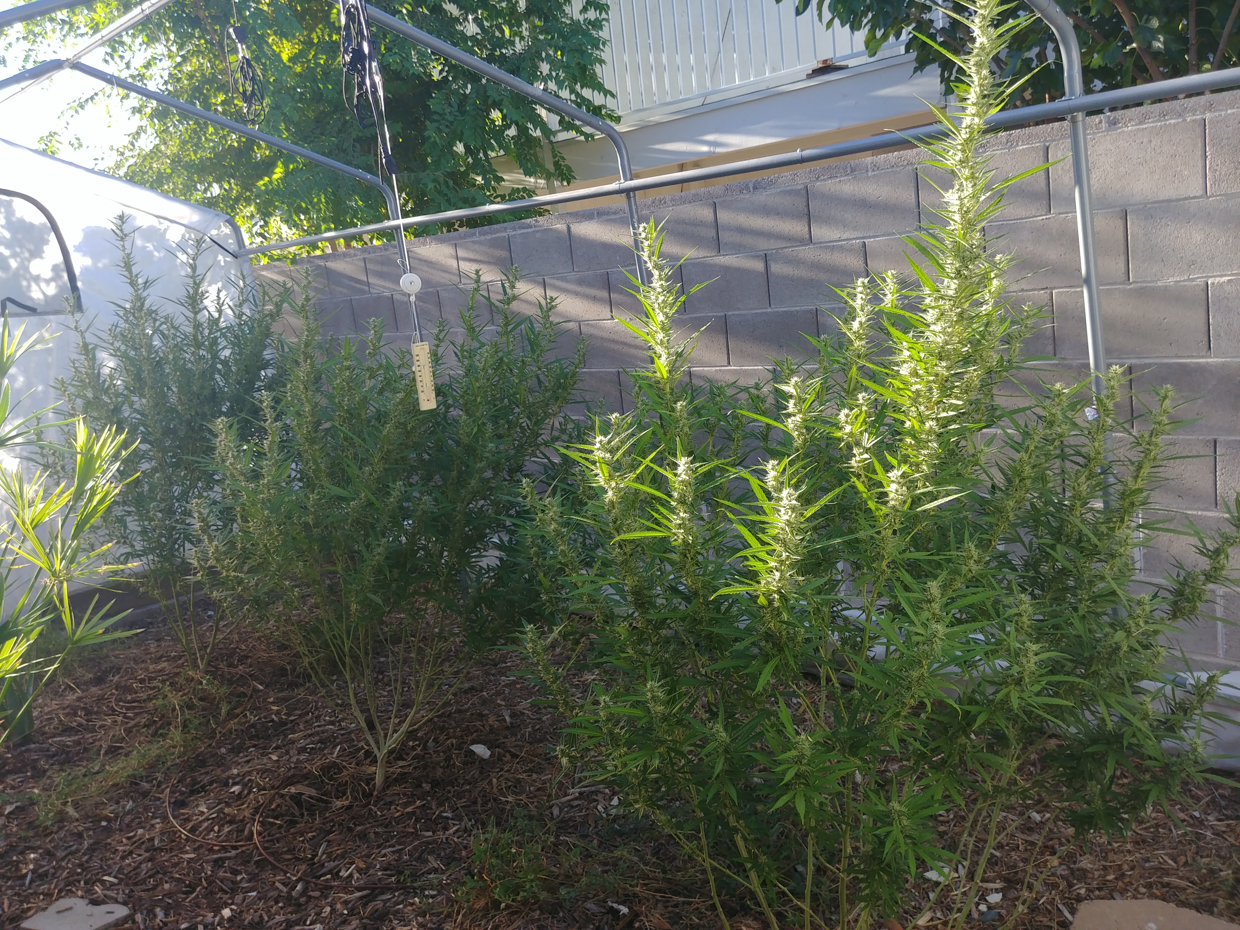 20180909_174813.jpg