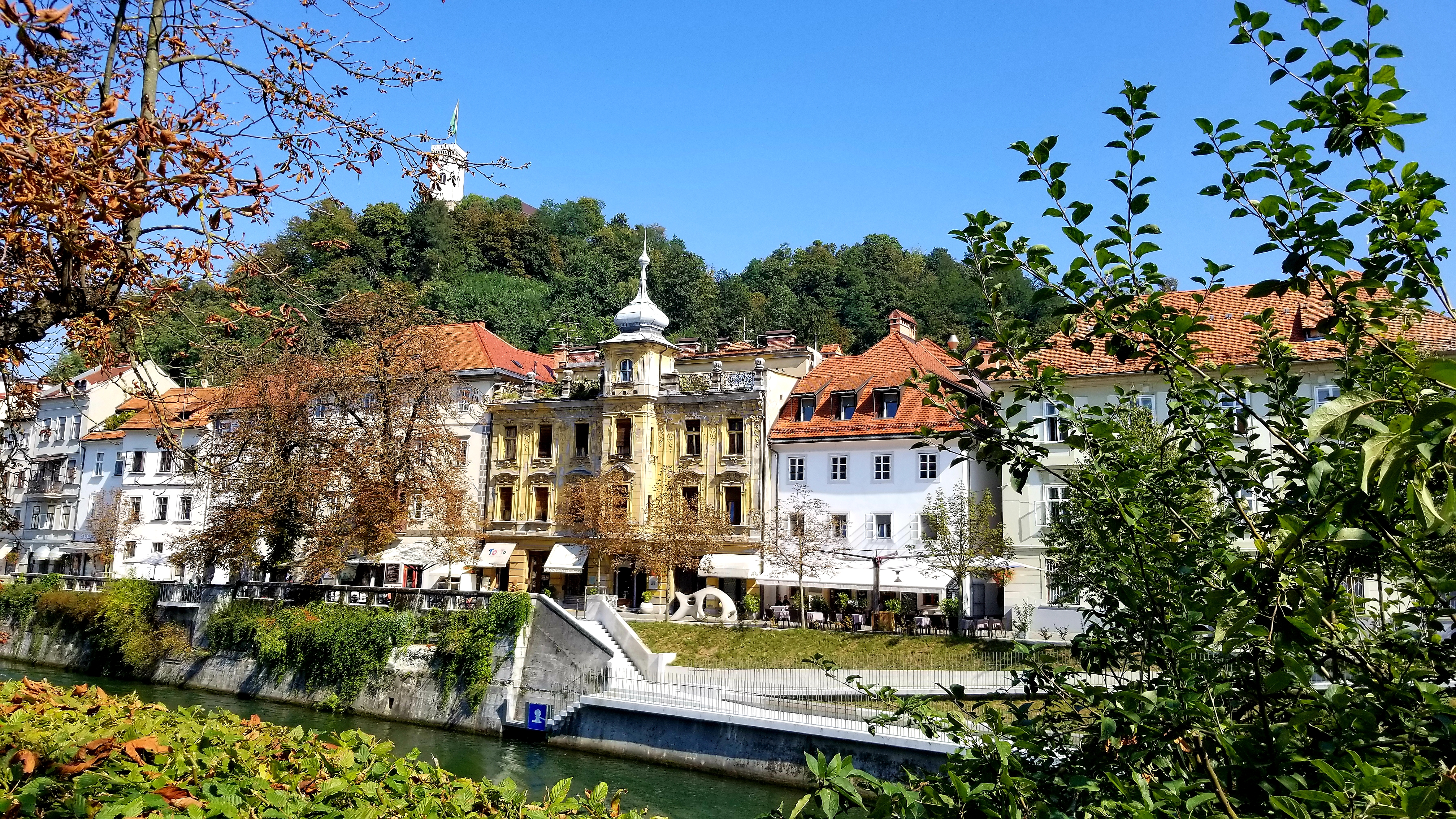 20180924_134935.jpg
