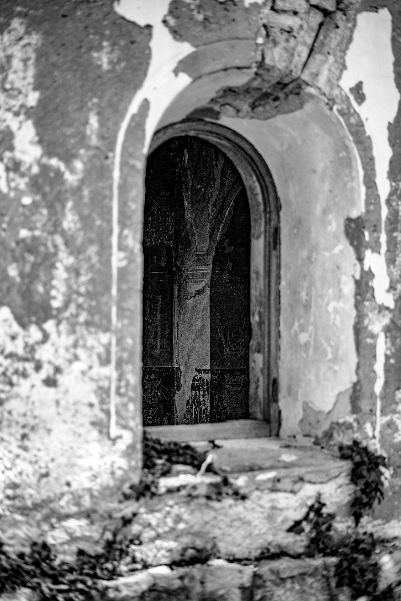 17816723558291391083119681654525.jpg