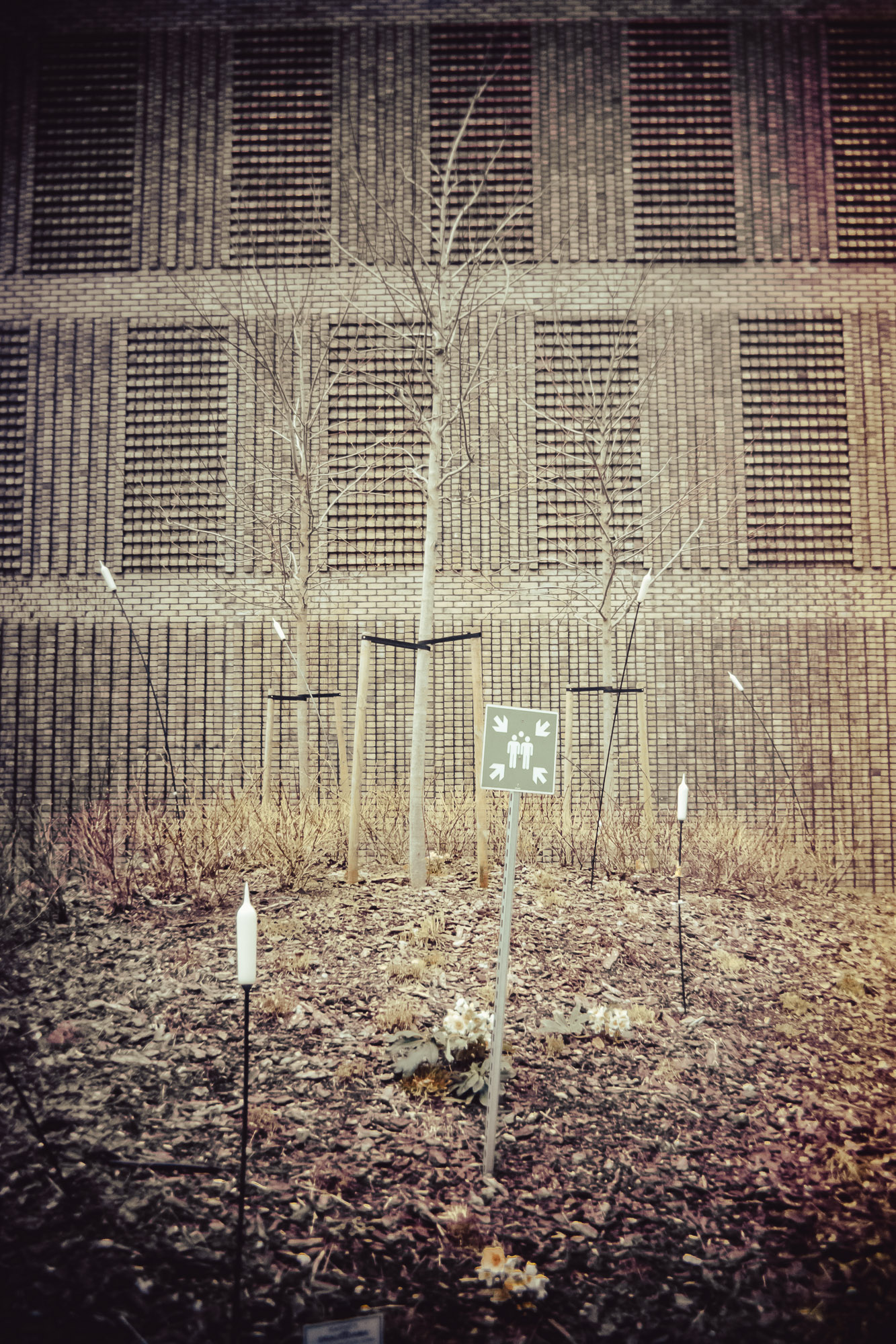 2026_04_11_0141.jpg