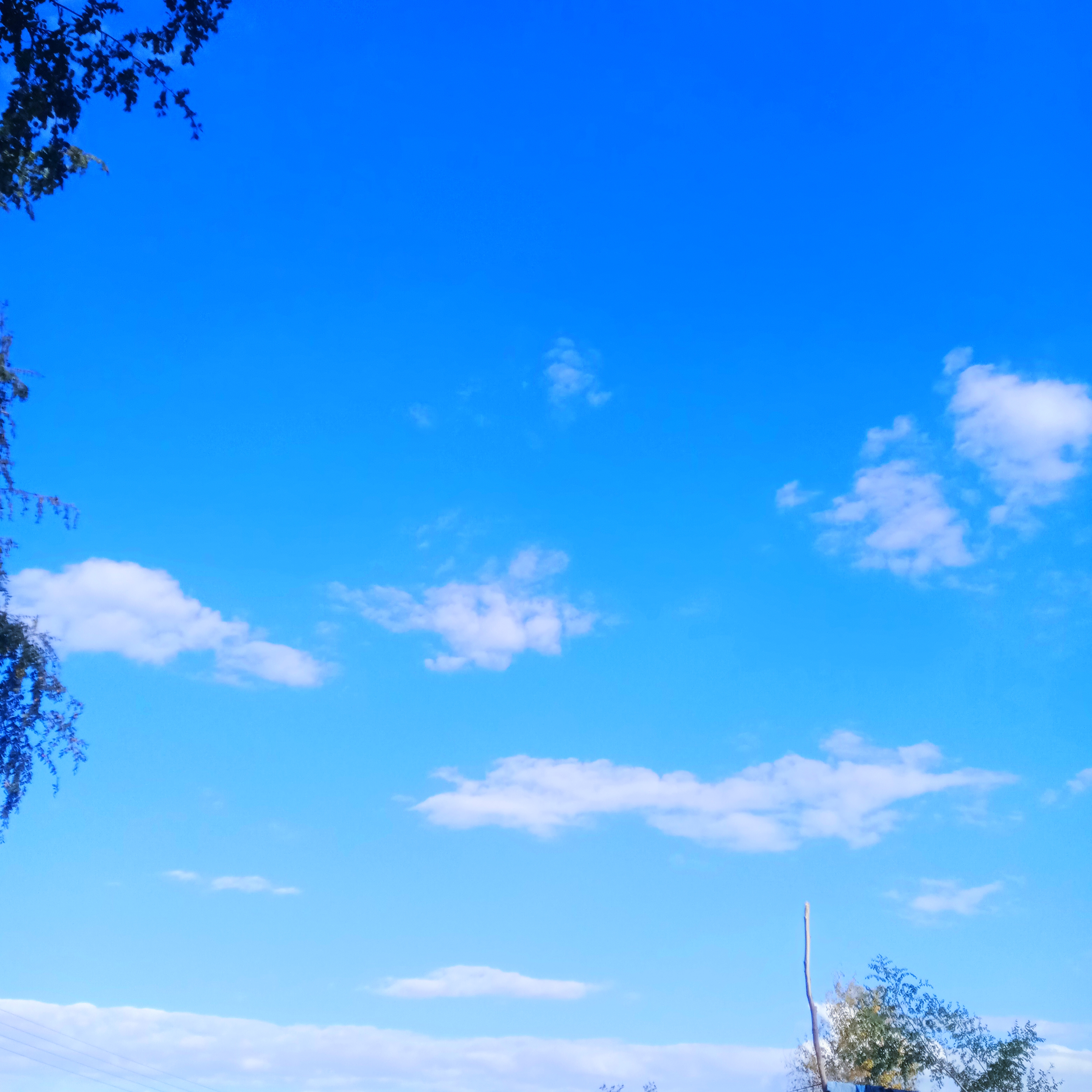 IMG_20220109_150427.jpg