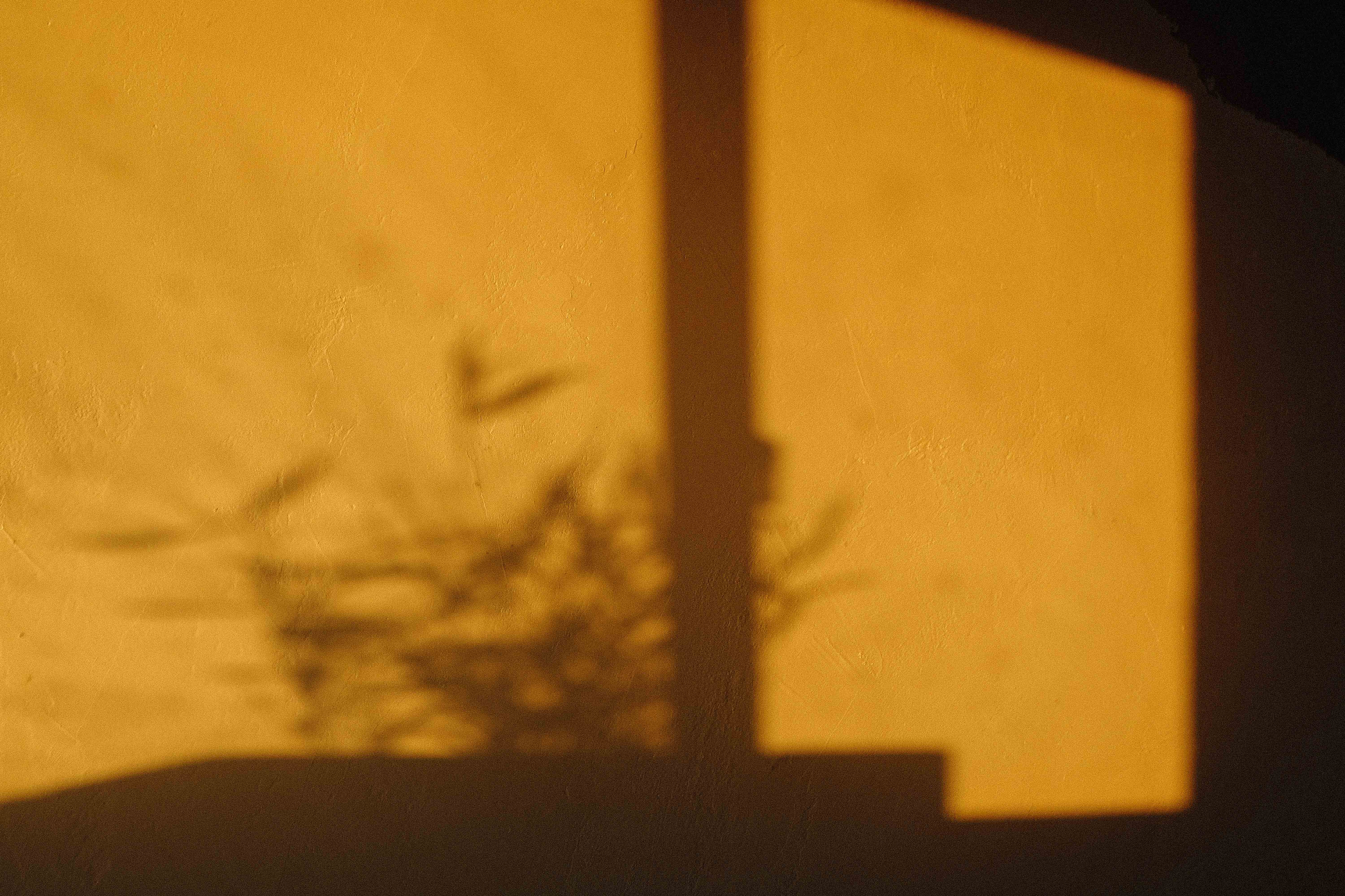 DSCF1472.jpg