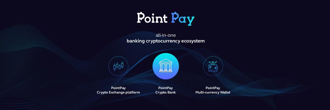 Pointpay обзор. POINTPAY. Panikov POINTPAY.