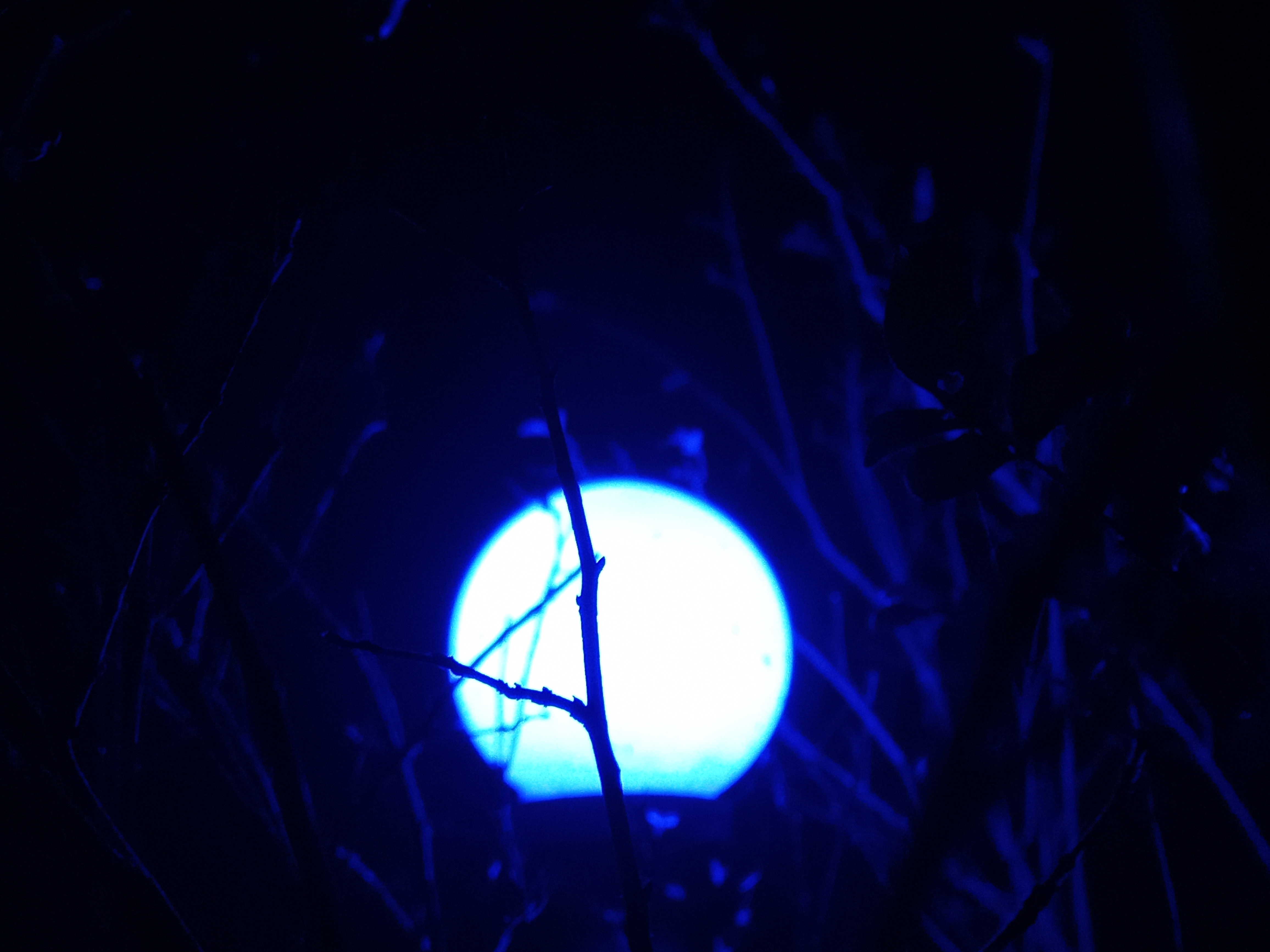 20221216_182449.jpg