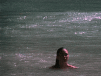 AnotherSaneGermanpinscher-max-1mb.gif