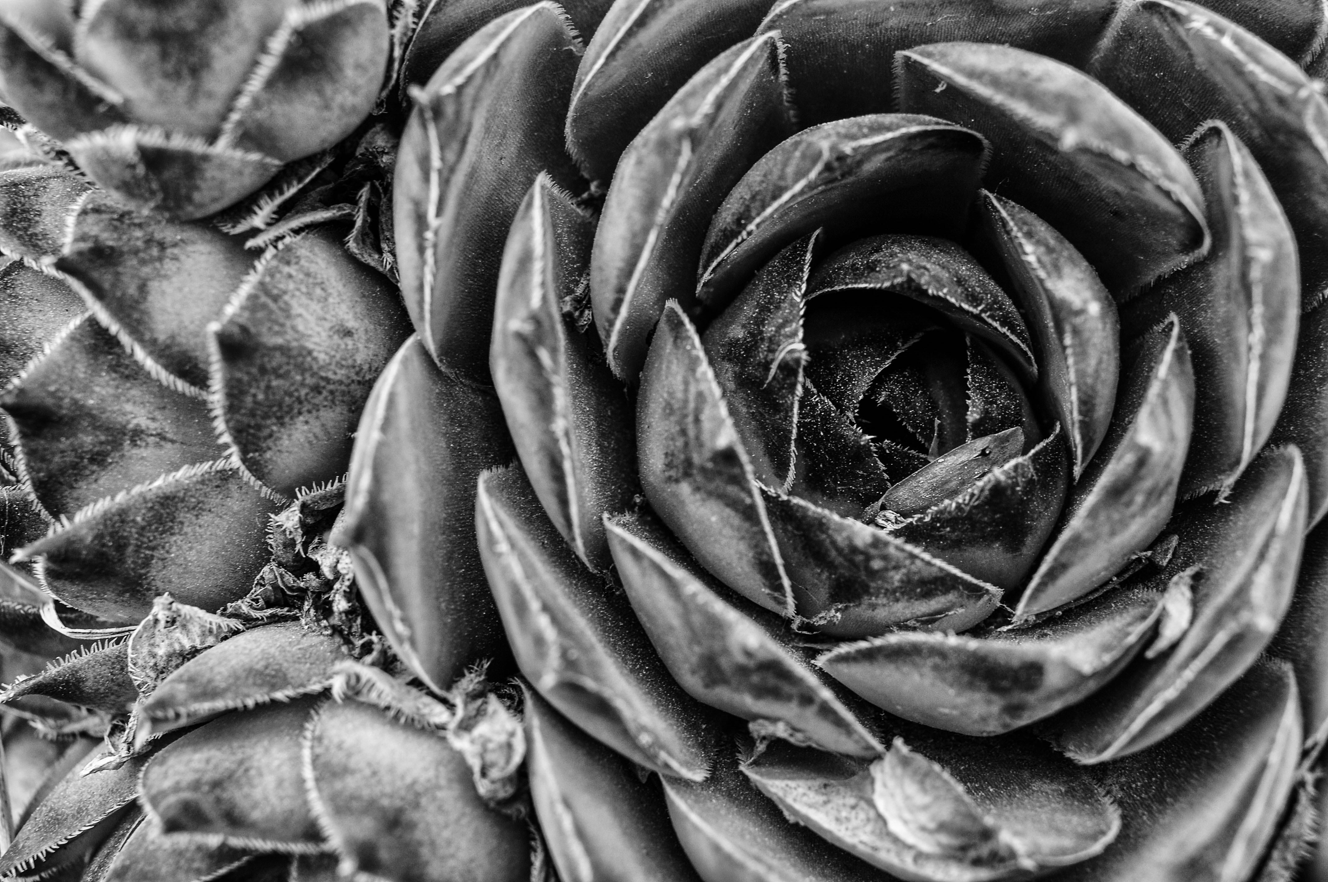dsc_0151_edit.jpg