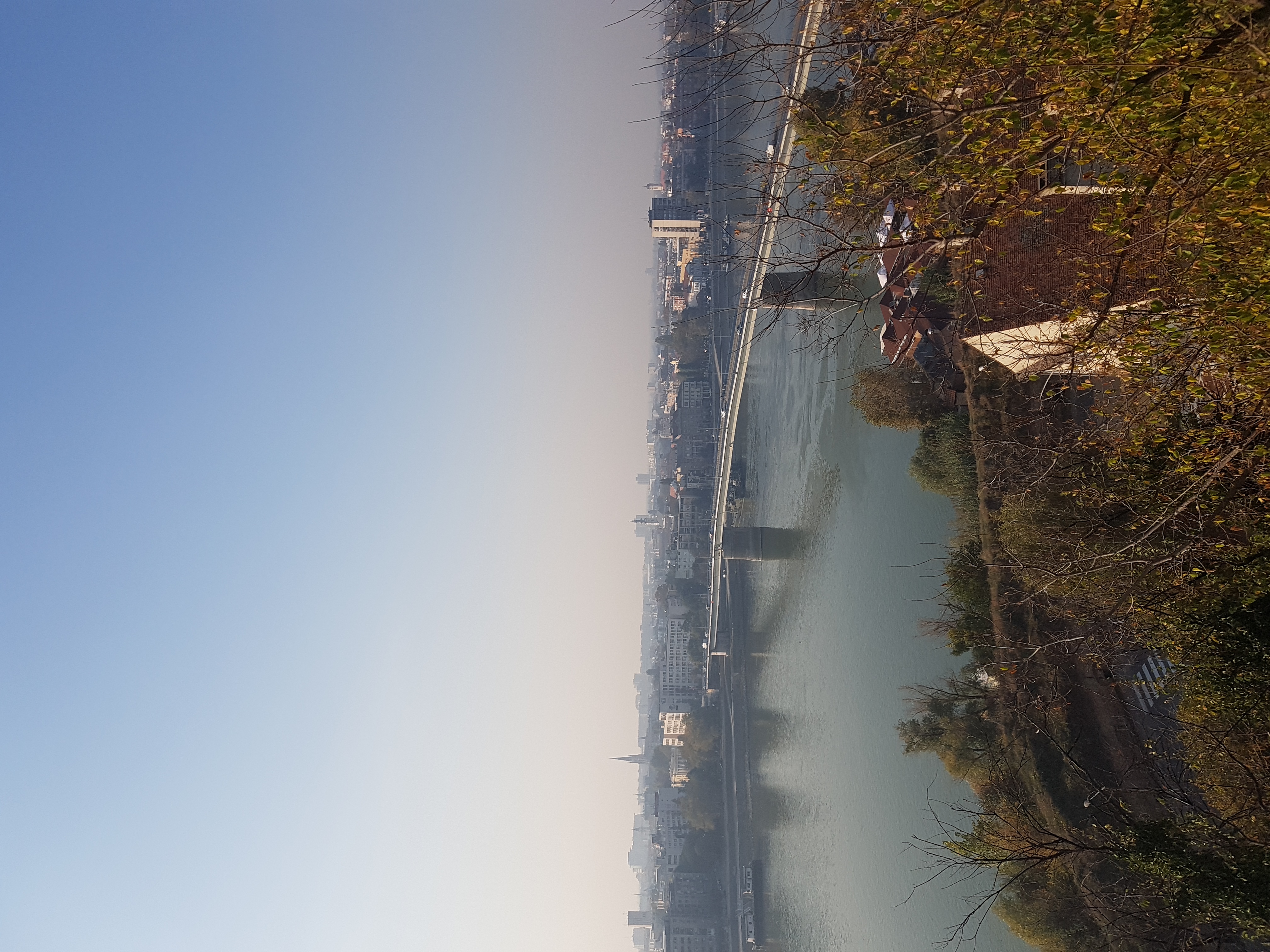 20191025_150921.jpg