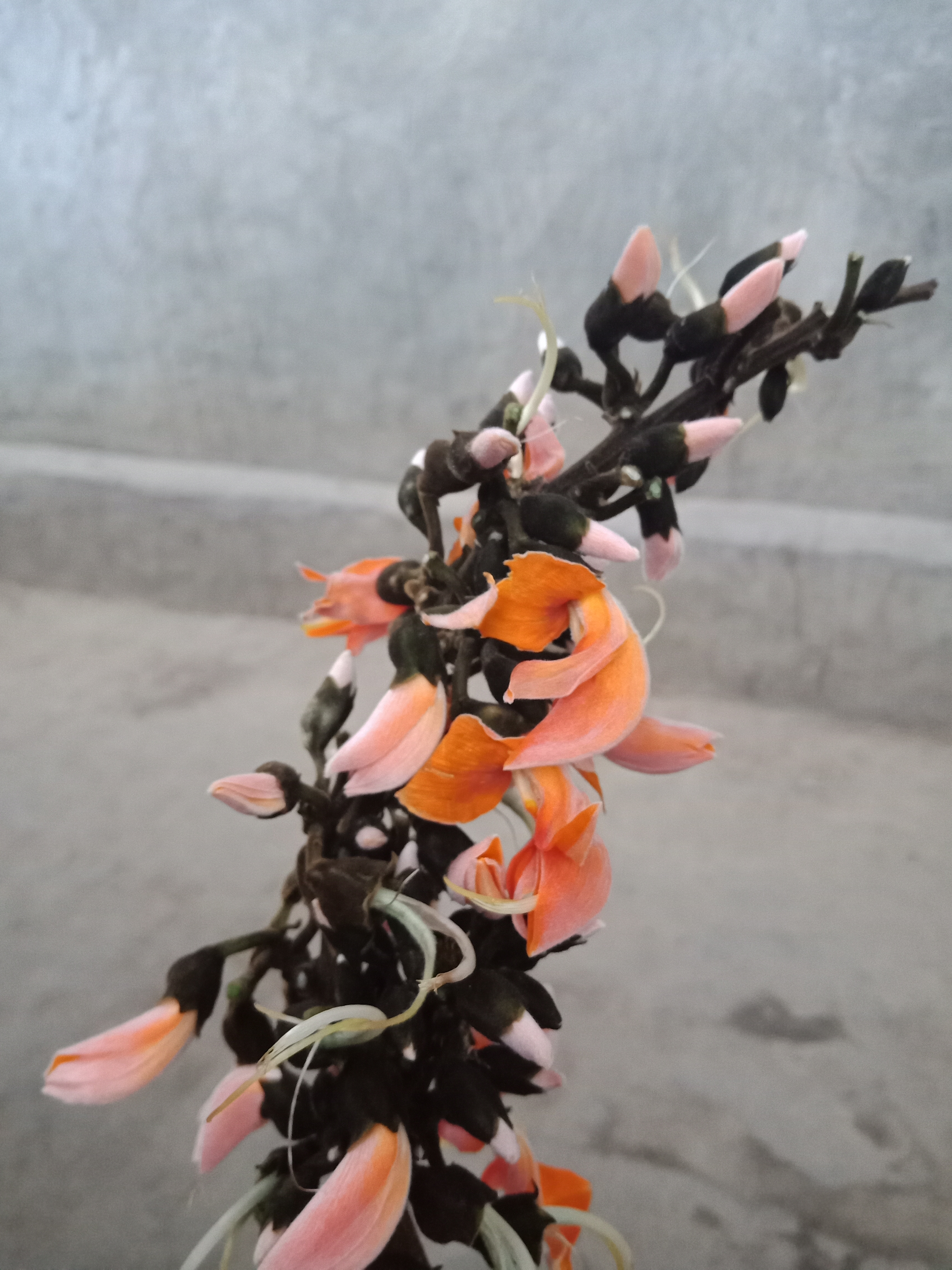 IMG20190317174745.jpg
