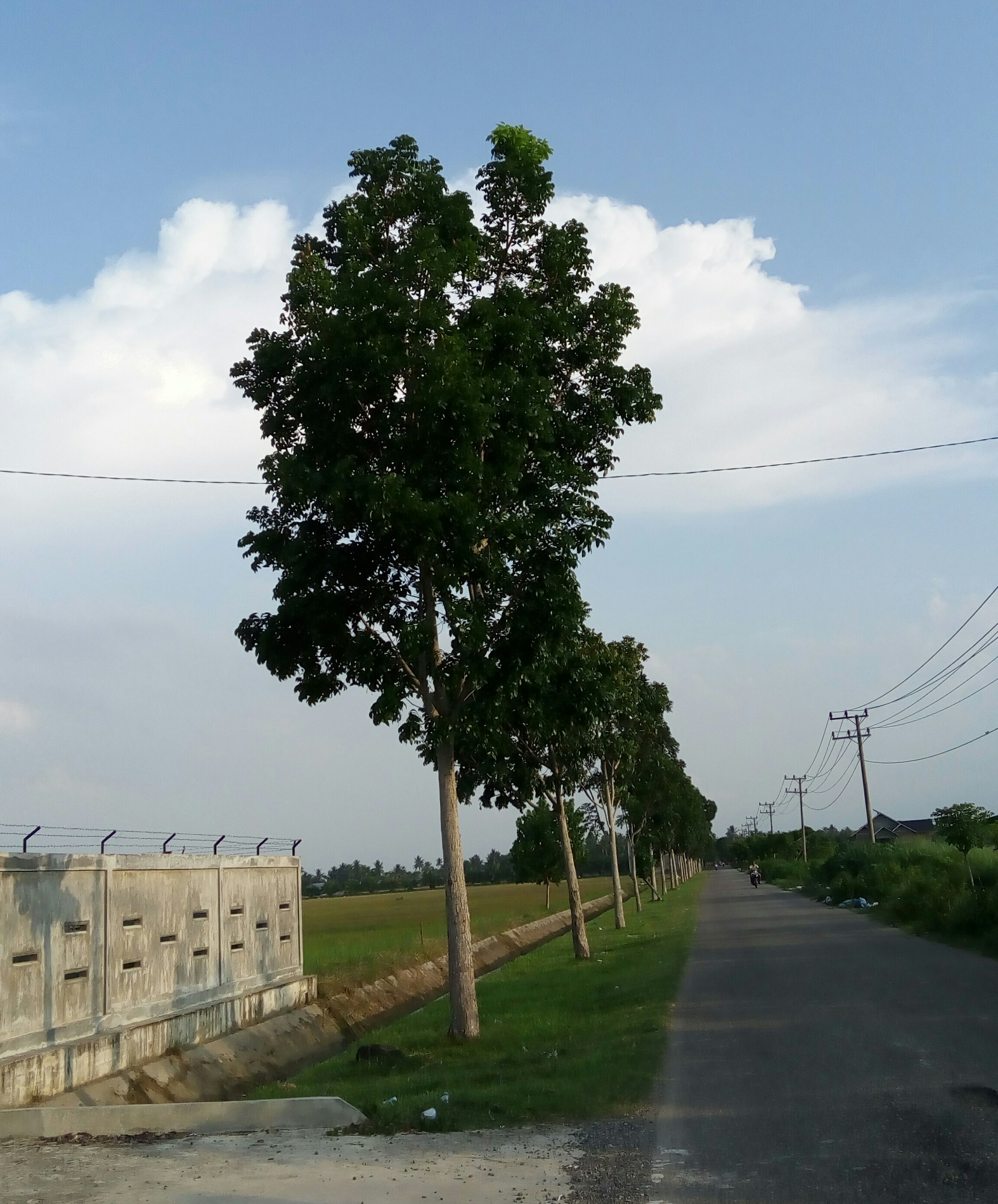 IMG_20210717_025152.jpg