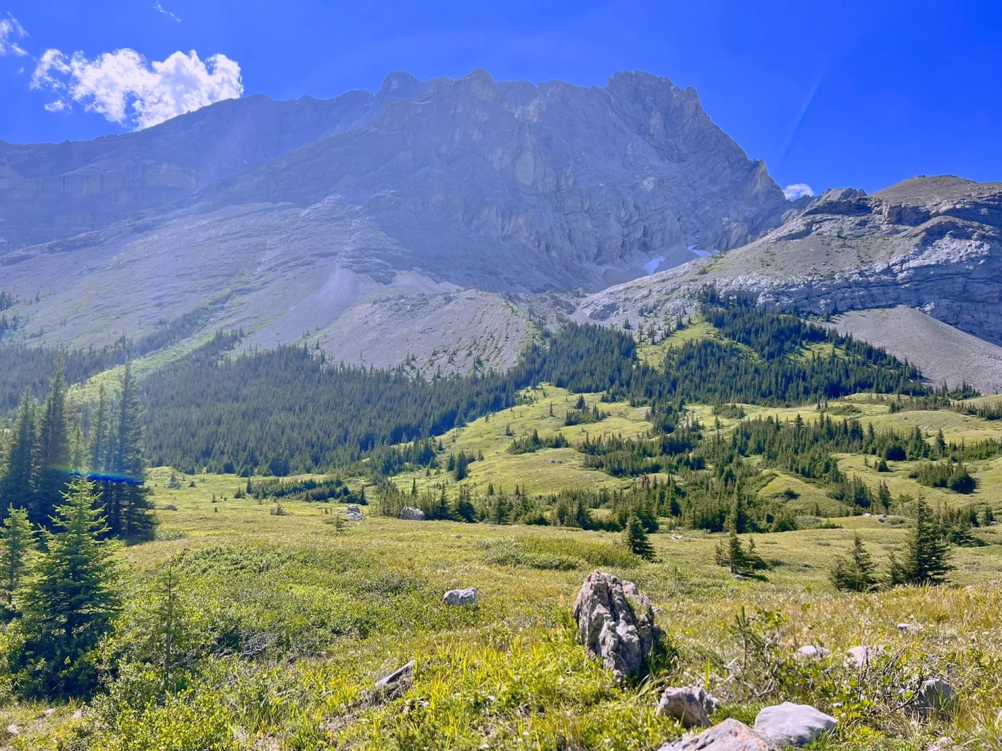 108.webp