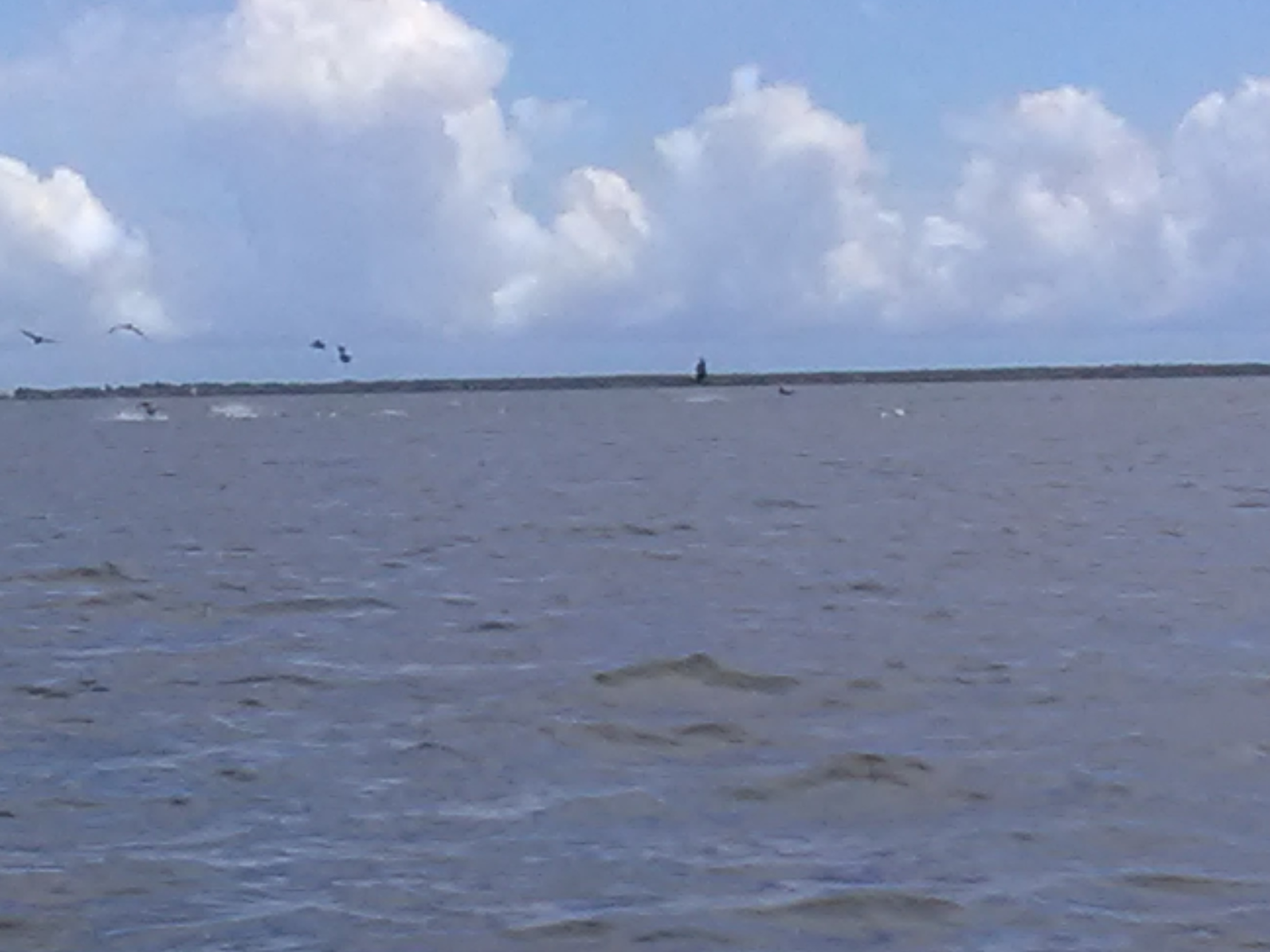 IMG_20190820_114548.jpg
