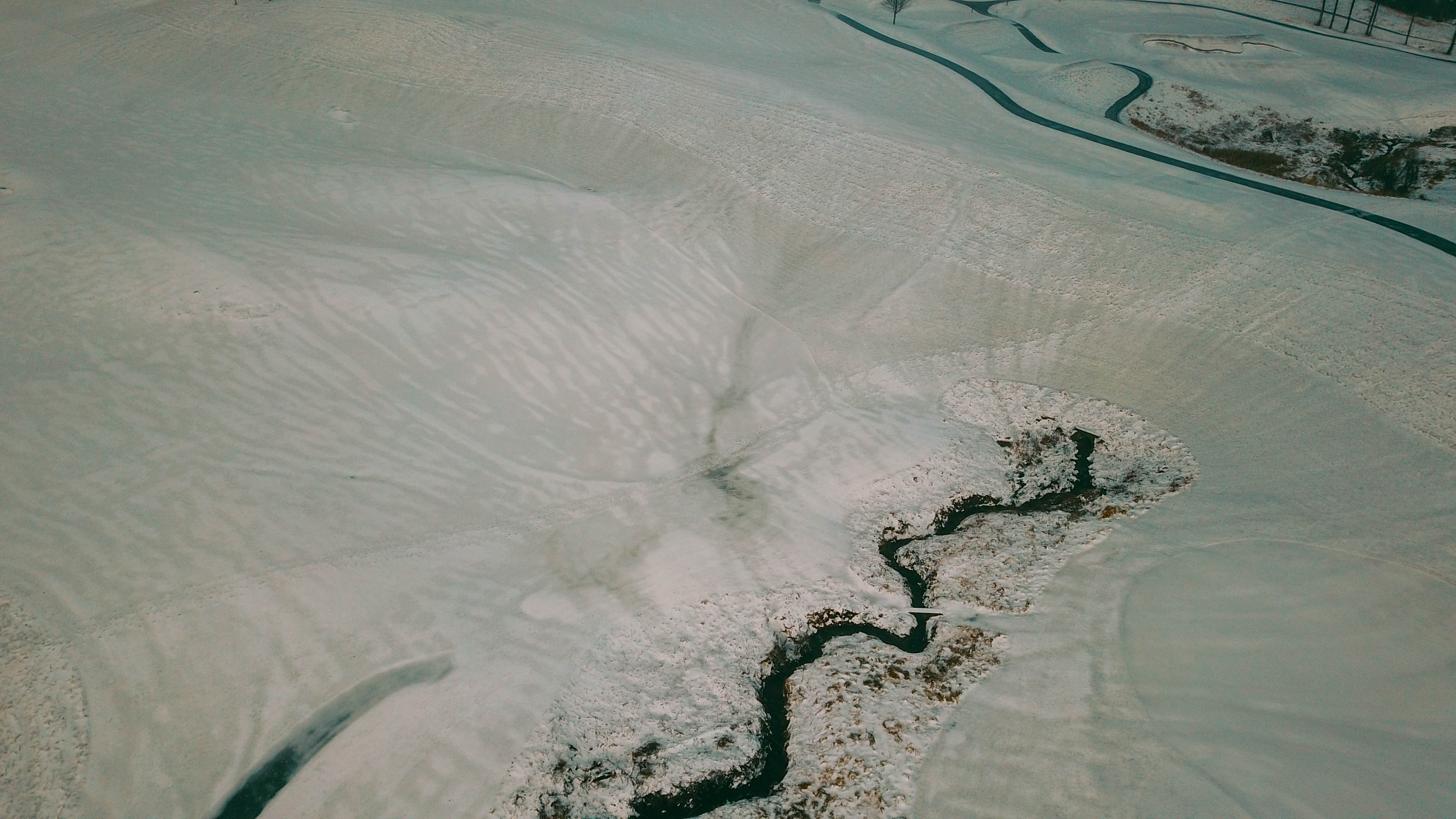DJI_0498.jpg
