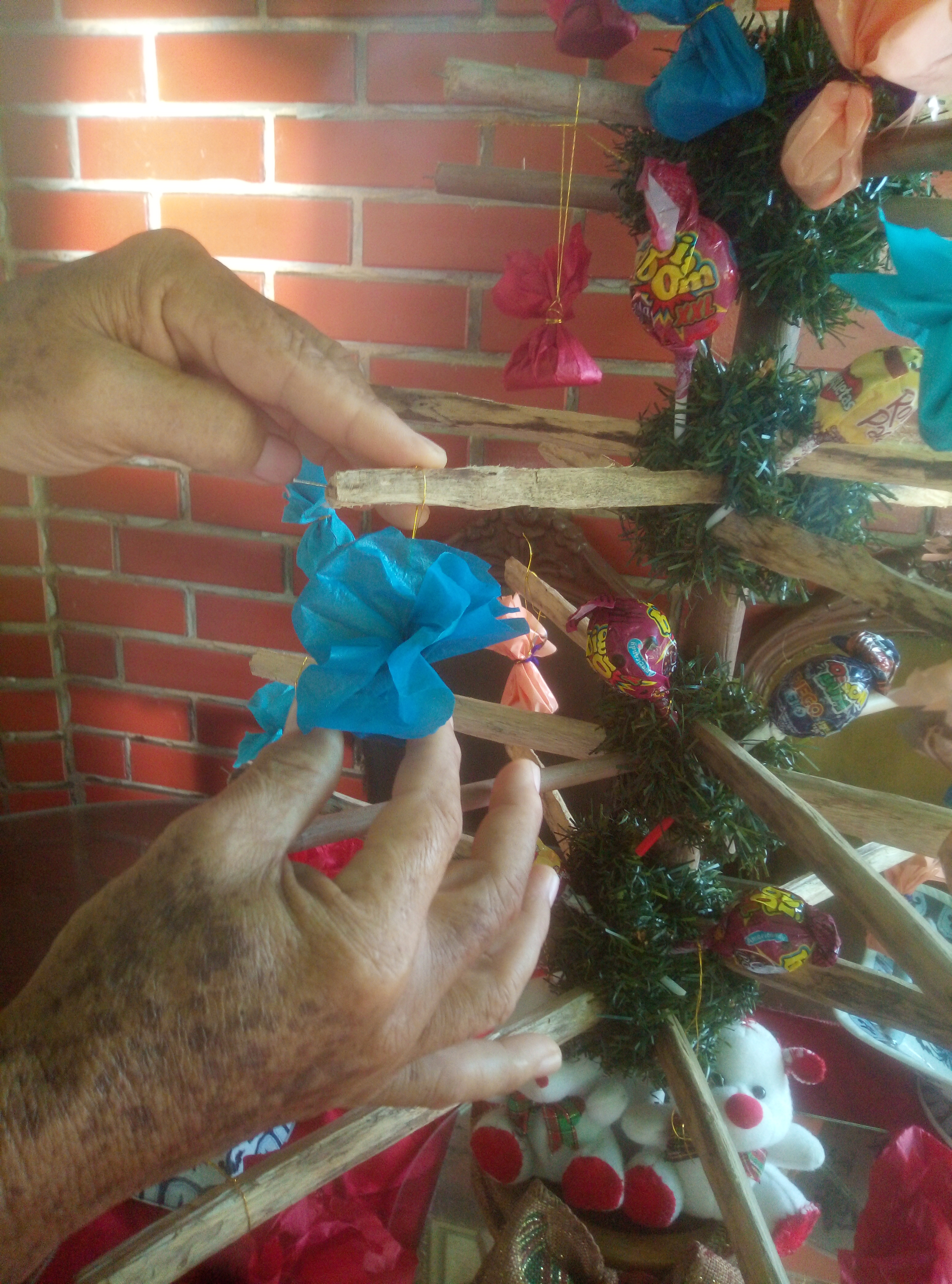 IMG_20211210_160435.jpg