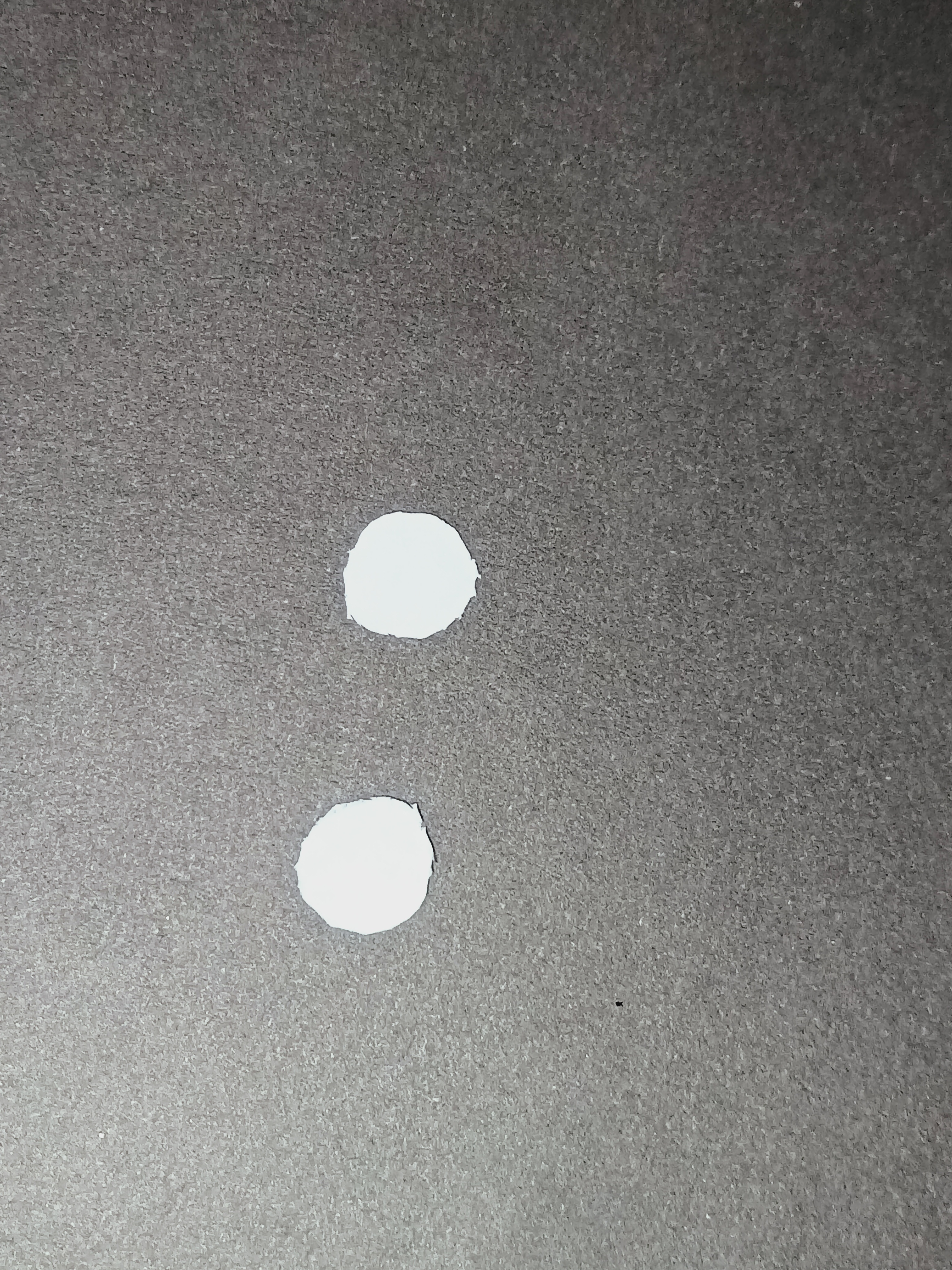 IMG20240311103513.jpg