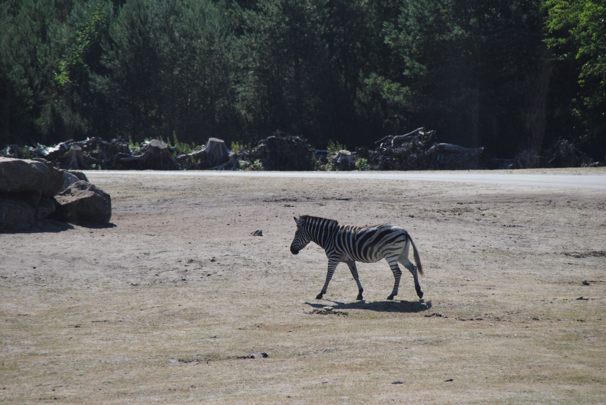 image052.jpg